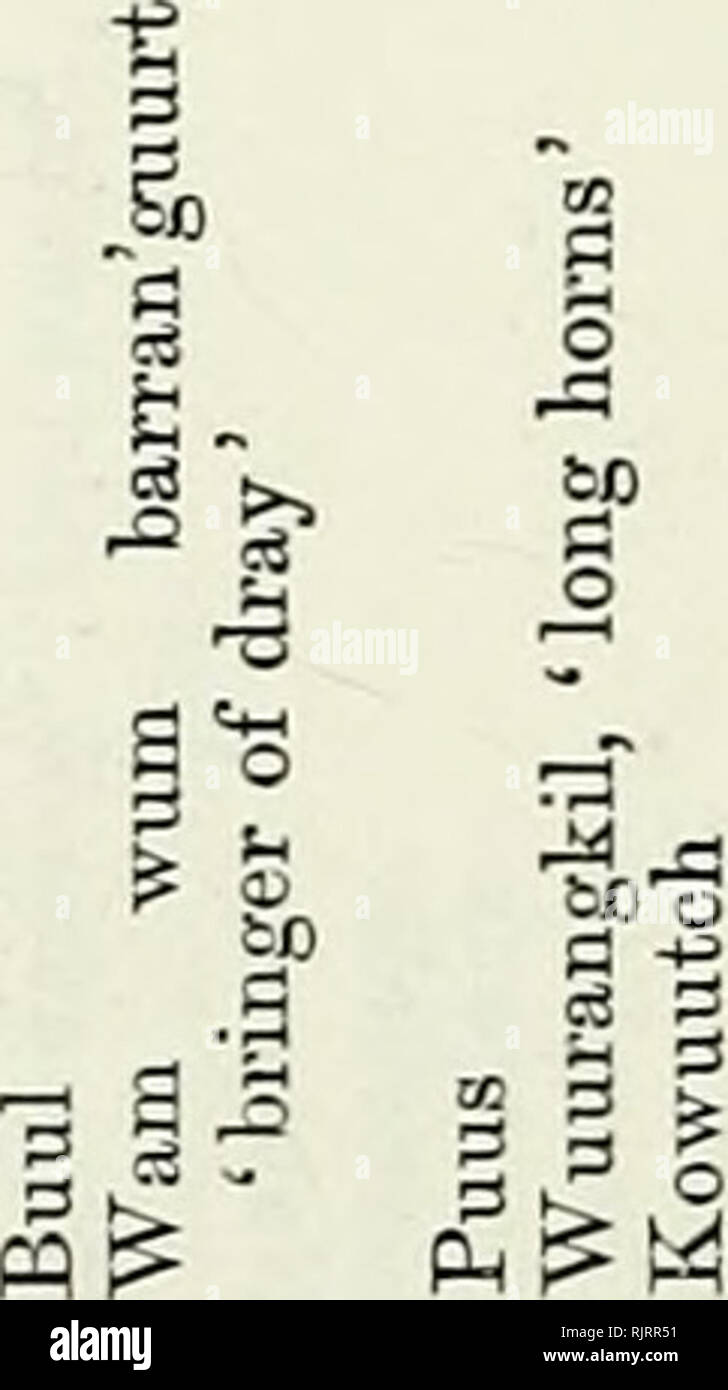 Page 2 C8 5 High Resolution Stock Photography And Images Alamy