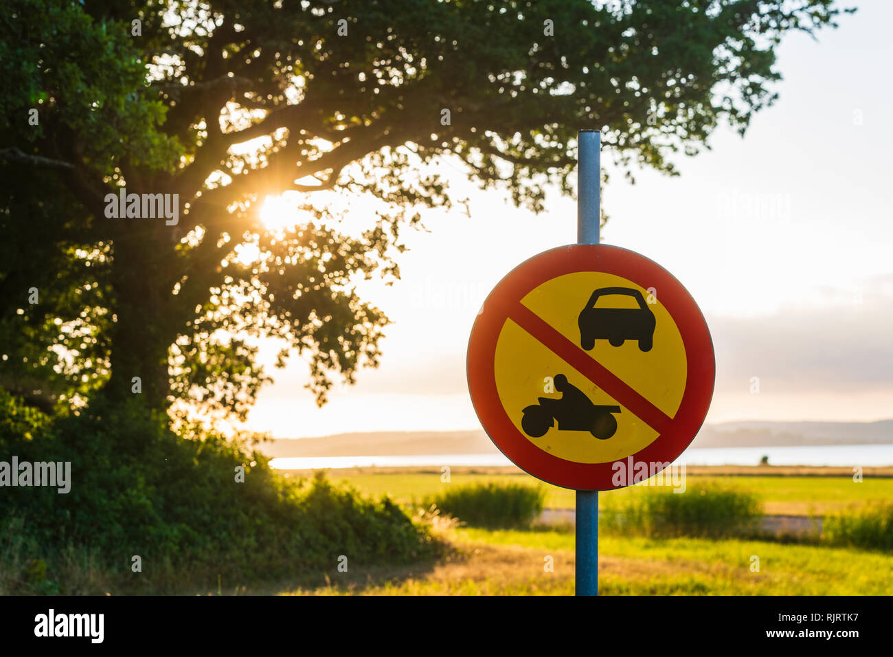 Road sign by tree, Halland, Sweden, Europe Stock Photo