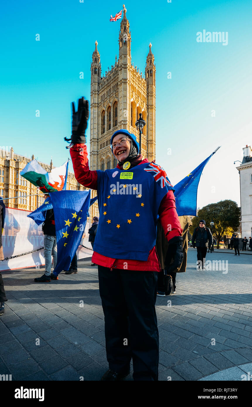 London, UK - Feb 7, 2019: Anti-Brexit protester holds an EU flag outside Westminster, London, UK Credit: Alexandre Rotenberg/Alamy Live News Stock Photo
