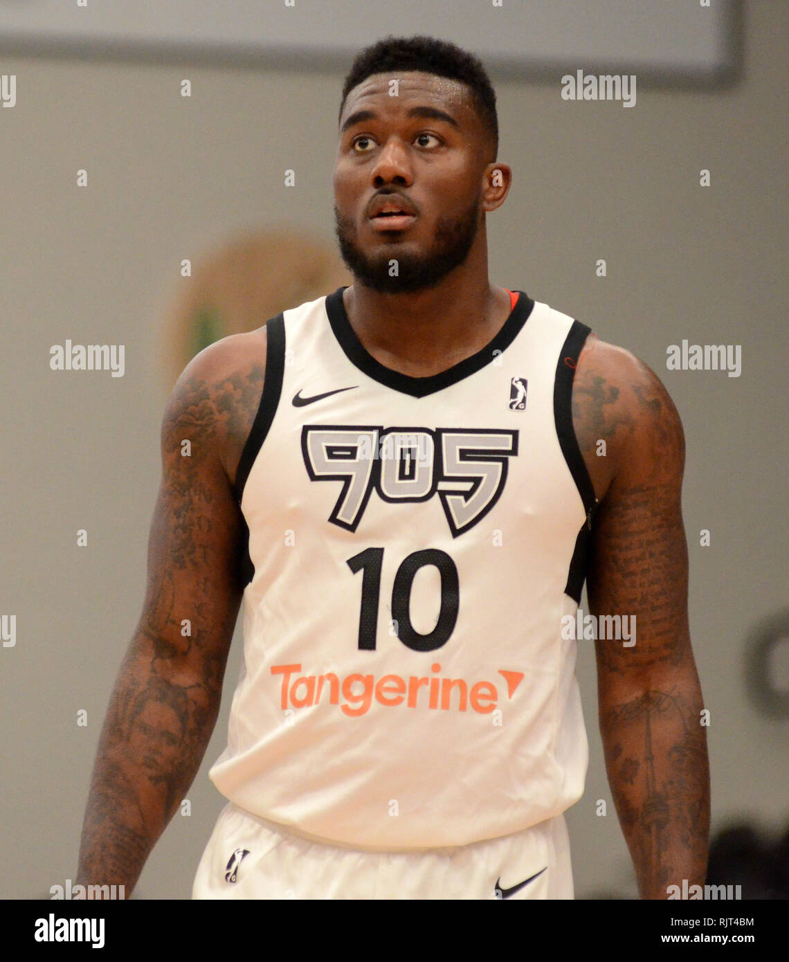 Raptors 905 hi-res stock photography and images - Alamy