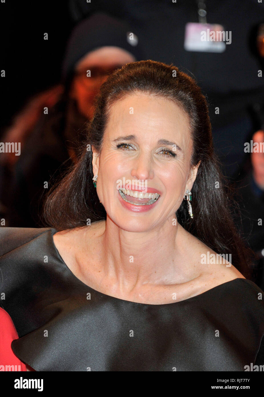 Berlin, Germany. 07th Feb, 2019. Berlin Film Festival. Red Carpet film 'The Kindness of Strangers' Pictured: Andie McDowell Credit: Independent Photo Agency/Alamy Live News Stock Photo