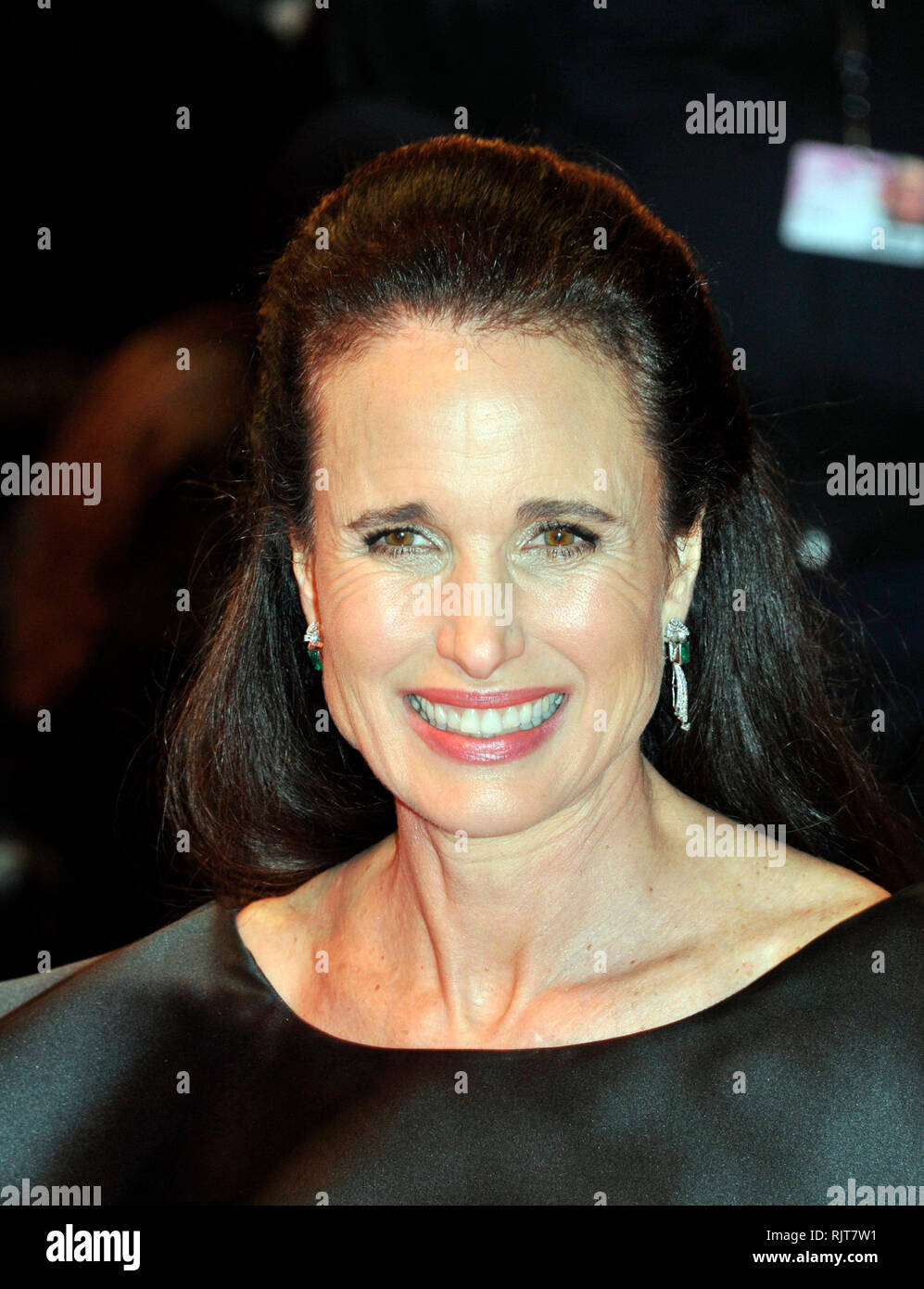 Berlin, Germany. 07th Feb, 2019. Berlin Film Festival. Red Carpet film 'The Kindness of Strangers' Pictured: Andie McDowell Credit: Independent Photo Agency/Alamy Live News Stock Photo