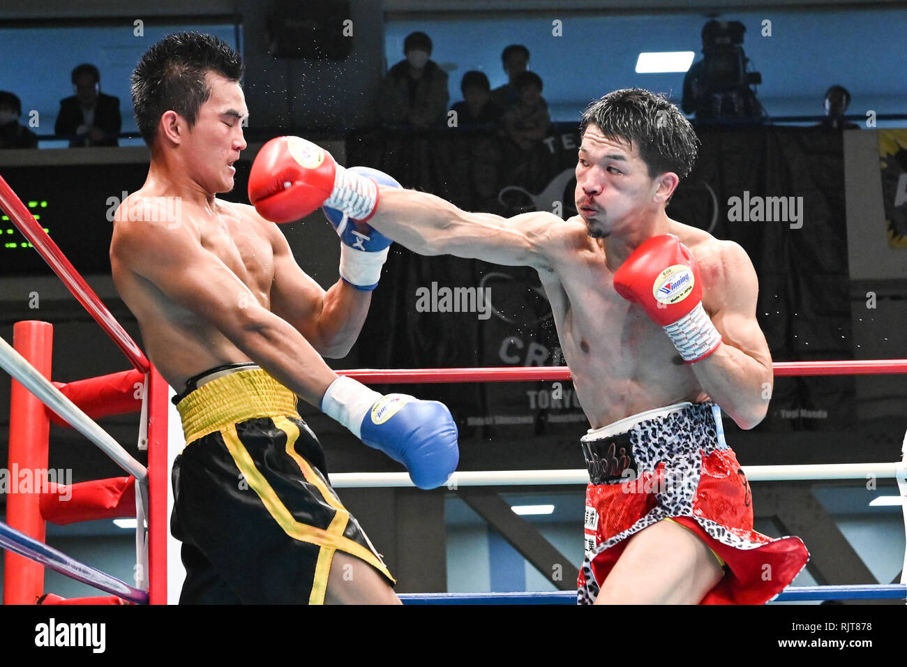 Tokyo Japan 2nd Feb 19 L R Roldan Aldea Phi Kenichi Ogawa Jpn Boxing Kenichi Ogawa Of Japan In Action Against Roldan Aldea Of Philippines During The Seventh Round Of The 10r