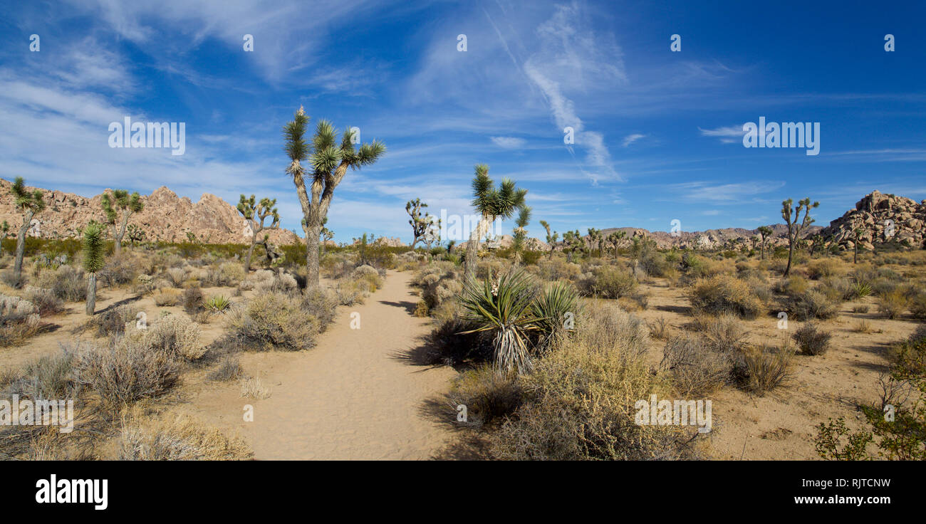 U2 joshua tree hires stock photography and images Alamy