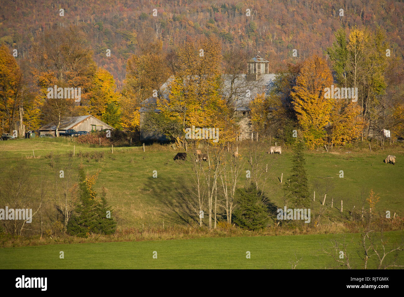 Late Autumn scene at a hill farm in Kirby, Caledonia County, Vermont