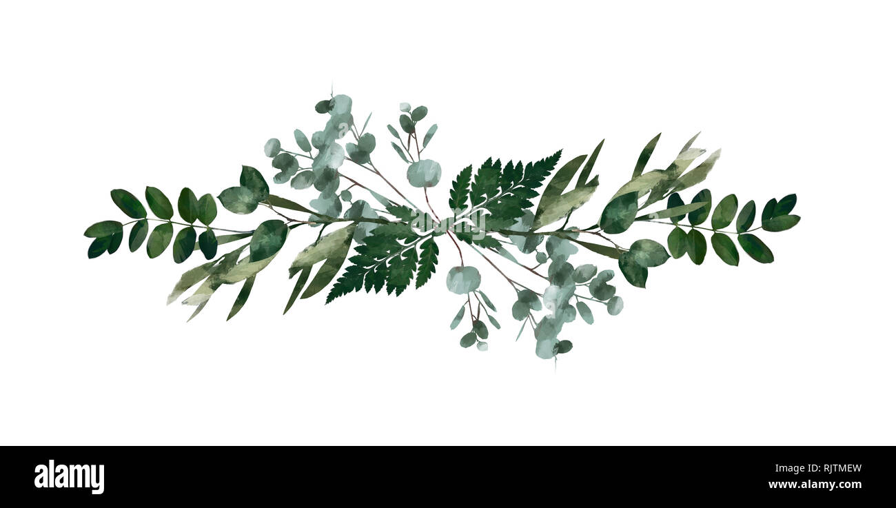 Watercolor modern decorative element. Eucalyptus round Green leaf
