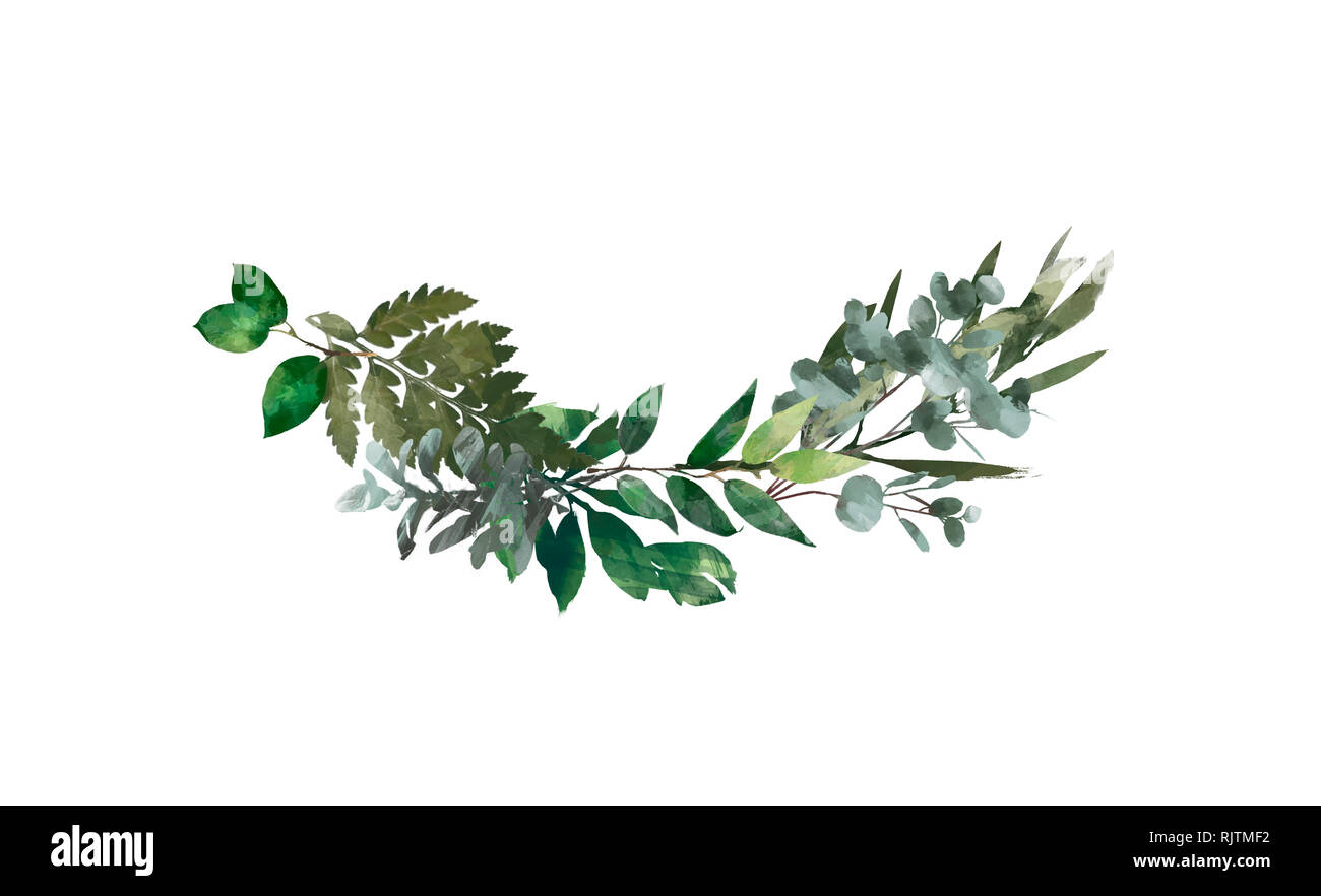 Watercolor modern decorative element. Eucalyptus round Green leaf