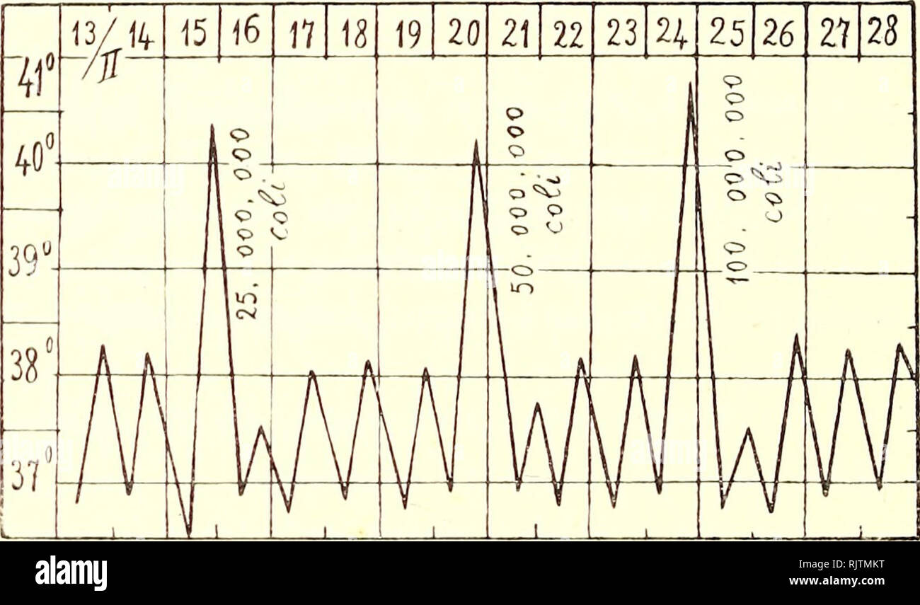 . Atti della Accademia gioenia di scienze naturali in Catania. Natural history. Oss. XI. F. (J. anni 35. Tubercolosi polmonare in II stadio. Medie del mese precedente il trattamento: temp. ser. 38. 3; sputo gr. 55; peso del corpo Kg. 53. 200. Il 15/11 iniezione endovenosa di una emulsione contenente 25 milioni di batteri coli; il 20/11 50 milioni; il 24/11 100 milioni. Spiccati rialzi termici la sera del- l' iniezione, preceduti da intenso brivido di freddo ; leggere remissioni il giorno dopo l'i- niezione. Nessuna modificazione ulteriore nella curva termica ne nel decorso del processo morboso Stock Photo