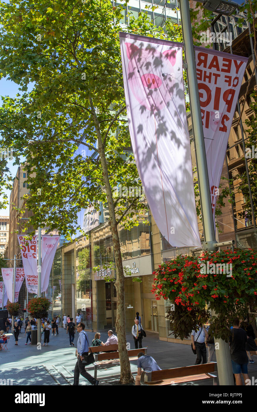 City of Sydney banners in Martin Place for 2019 Chinese year of the pig,Sydney city centre,Australia Stock Photo