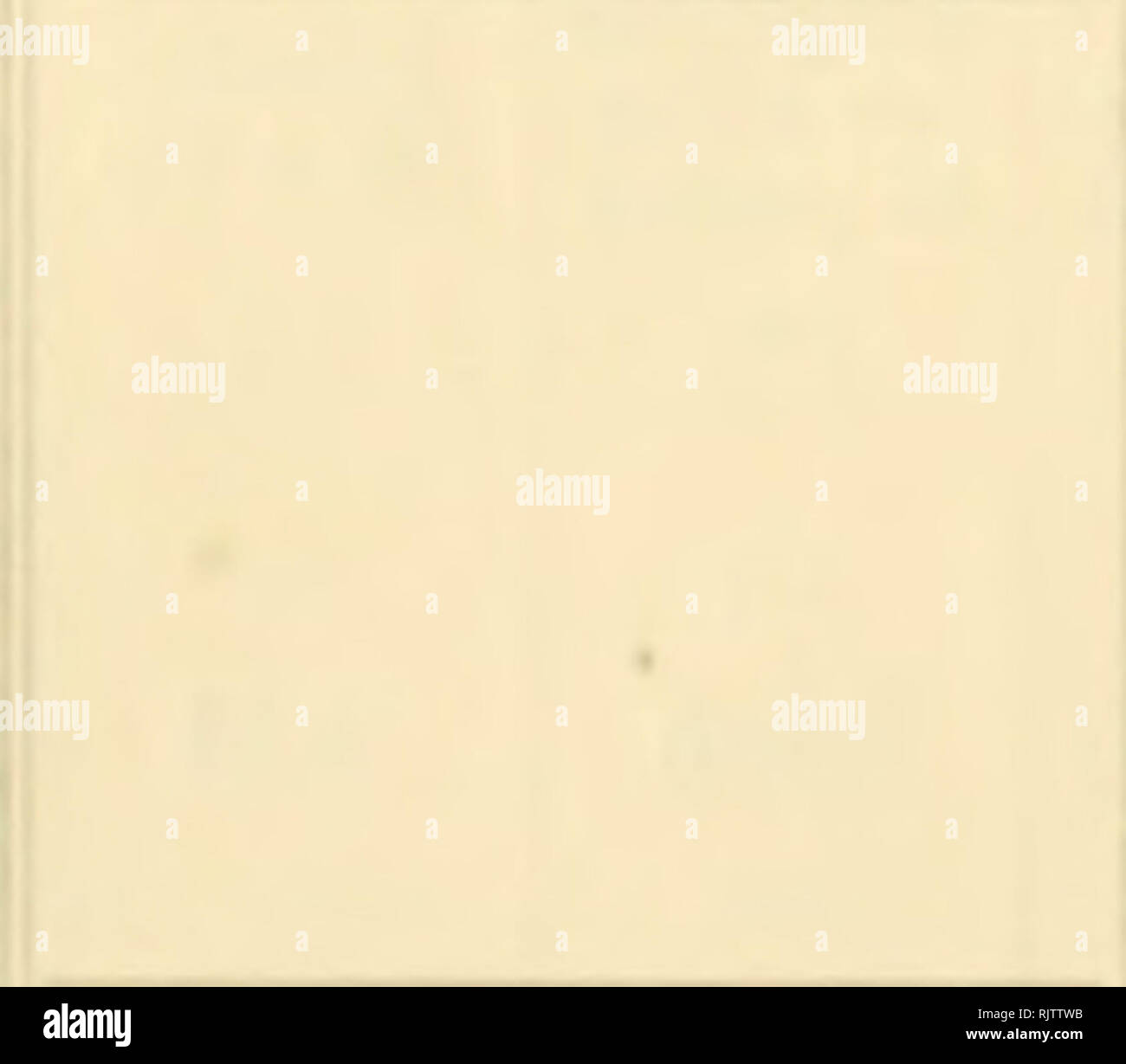 1460 N A N A N A High Resolution Stock Photography And Images Alamy