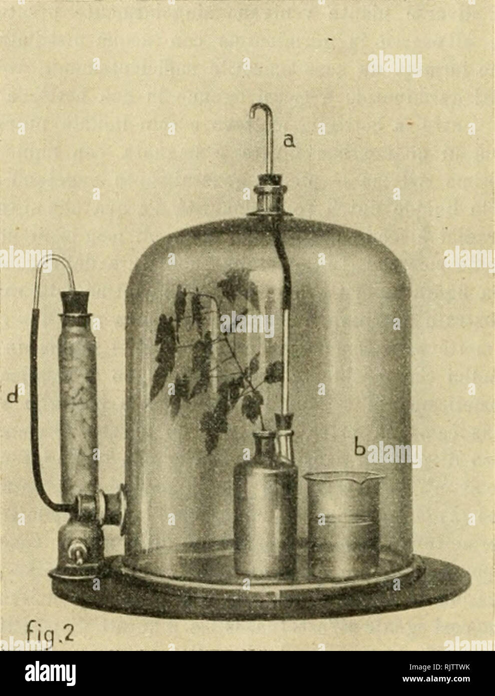 Cloruro High Resolution Stock Photography And Images Alamy