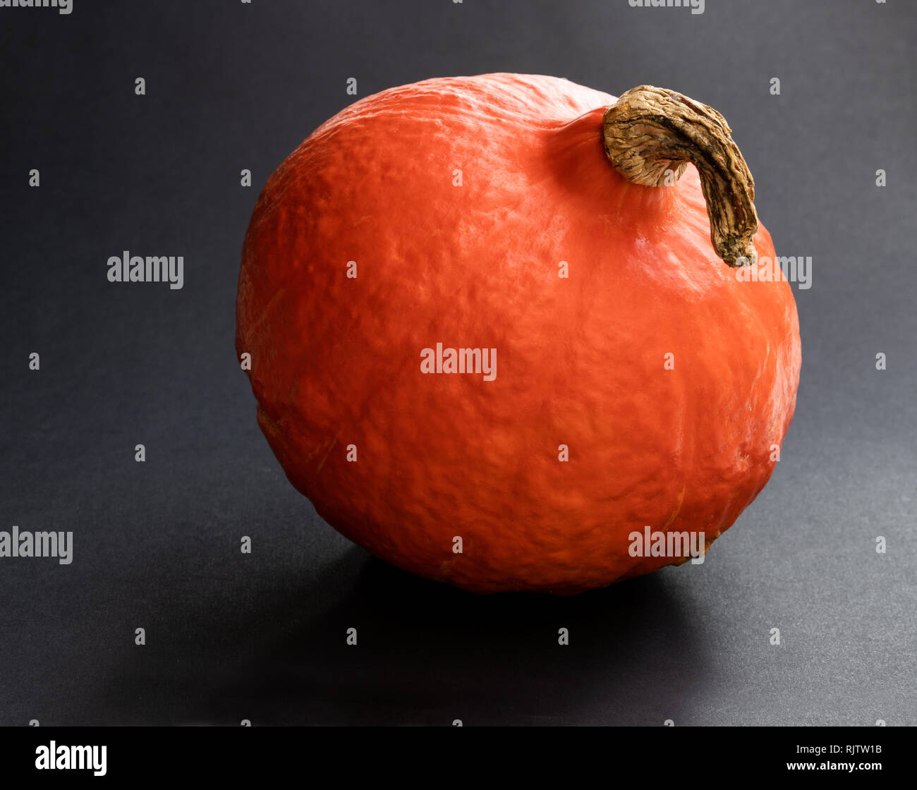 Small pumpkin on black background Stock Photo - Alamy