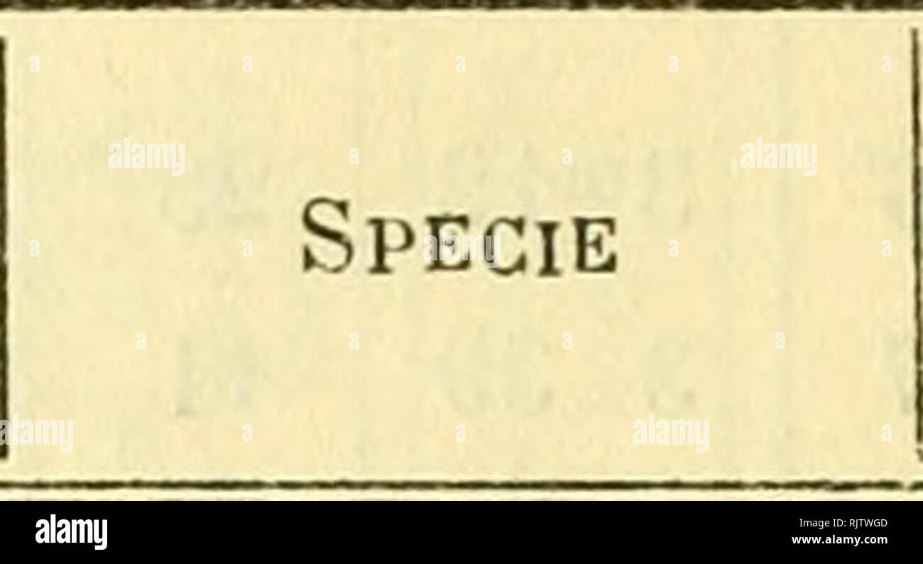 . Atti del Reale Istituto veneto di scienze, lettere ed arti. â 1544 â Tavola II. Stazioni meteorologiche vicentine - Specie ed osservatori - Luglio 4 886. NOME. OSSERVATORI Abano &gt; Aisiero, Giard. Pacher . Arsiero,&quot; Cart. Rossi . Asiago Asiago Barbano Barbarano Bassano, giard.Agostinelli Bassano Breganze Chiampo Conco Costozza, giard. Schio. Costozza, villa Schio Costozza, campagna . CrosÃ ra Enego, orto Canonica. Fimon, orlo Canonica Forni d' Astico .... Garziere Isola di Malo, corte Zane- chi n. Isola di Malo .... Laste Basse, or'o Munaii temporali teimoud. temp. idrometrica meteori Stock Photo