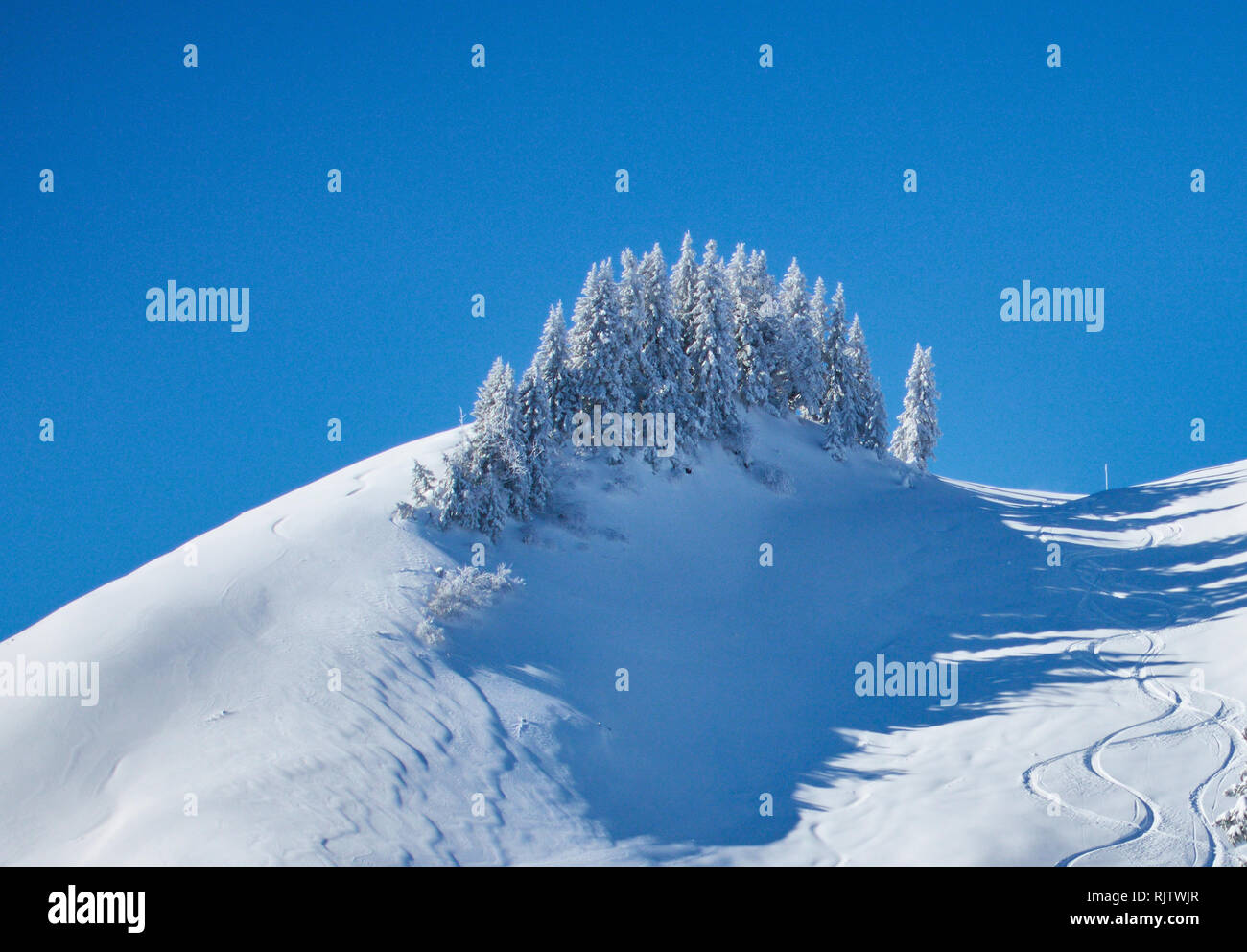 Mountain Men Nesselwang