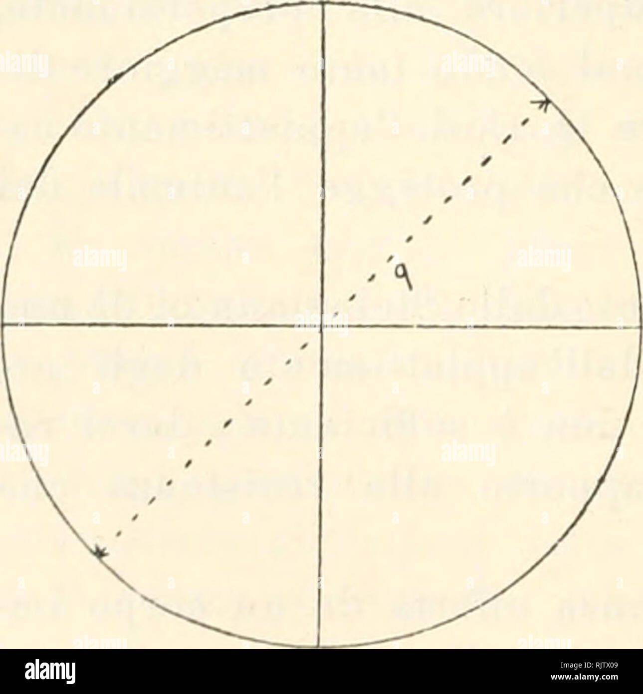 triangolo della formula corrente