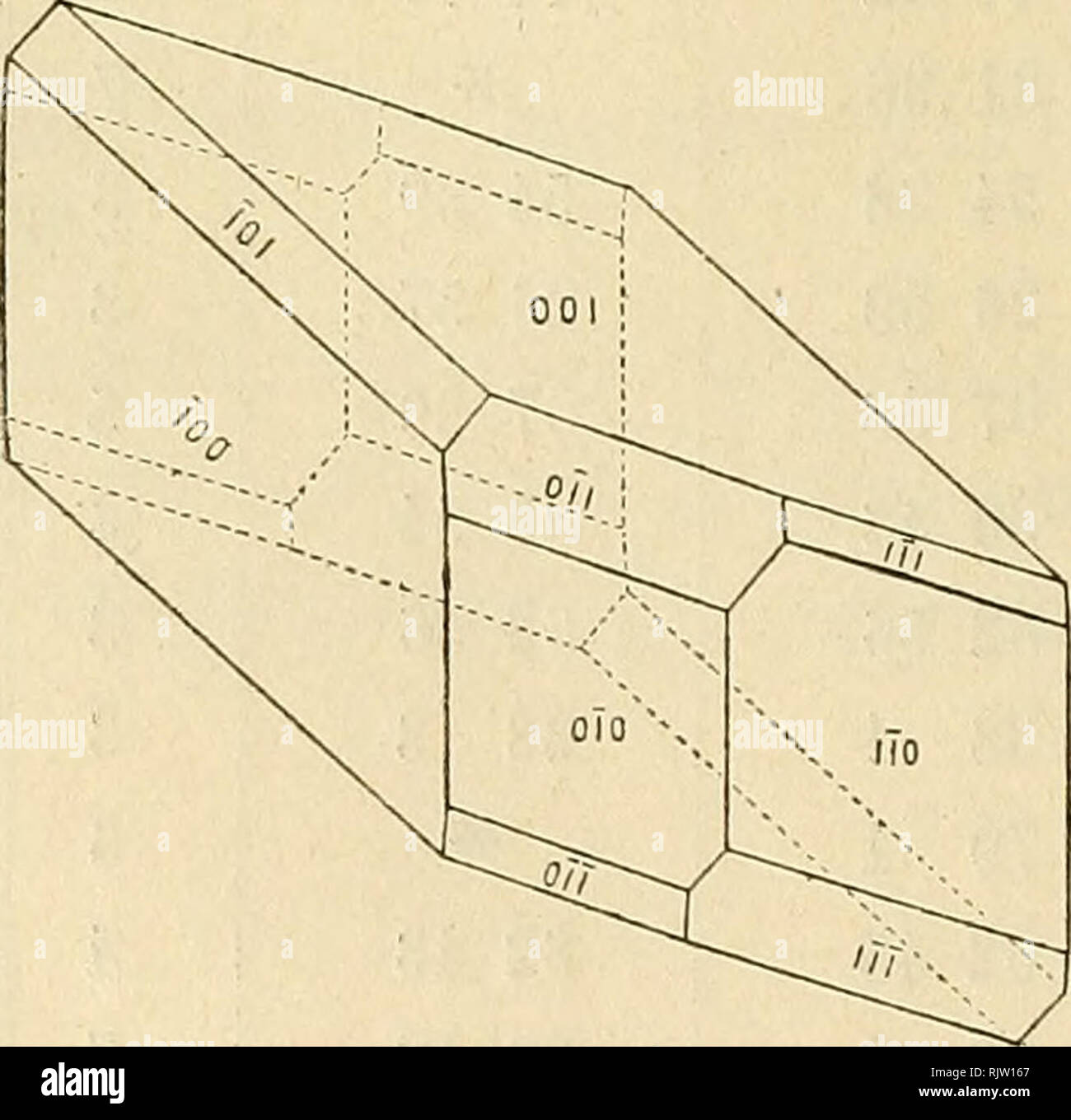 . Atti della Societitaliana di scienze naturali e del Museo civico di storia naturale di Milano. Natural history. 42 G. BOERIS. Angoli Limiti delle osservazioni Media Calcolato N (Oil):(100) 77044'— 78019' 780 3' 780 4' 9 (001):(111) 64 19 — 64 29 64 24 ^ 6 (111):(110) 30 7 - 30 15 30 10 30 14 6 (110):(111) 27 58 — 28 10 28 4 28 2 6 (111):(001) 57 8 — 57 29 57 17 57 20 (101):(111) — 61 10 61 9 (111):(010) — 44 21 44 21 (010):(101) — 74 27 74 30 (101):(110) — 72 27 72 21 (110):(Oil) — 45 8 45 16 (Oil): (101) — 62 25 62 22 (Oil): (101) — 91 44 91 48 (Oil):(110) — 56 50 56 49 (111):(Oil) — 63 36  Stock Photo