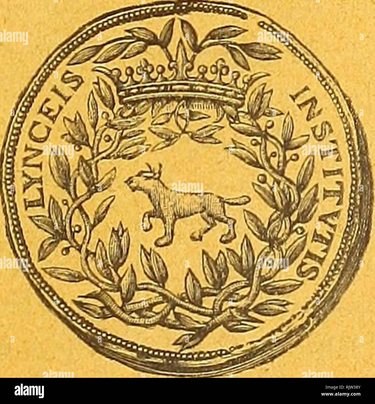 Q Xxv High Resolution Stock Photography And Images Alamy