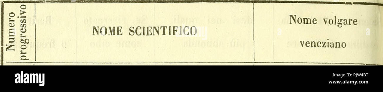 . Atti della SocietÃ dei naturalisti e matematici di Modena. 70. 85 Solea oculata, Risso. 86 Â« vulgaris, Cuv. 87 Â« monochir, Bp. 88 Plagiusa lactea, Bp. 89 Smaris vulgaris, C. V. 90 Â« ( alcedo, Cuv. 94 Â«  chryseiis, Cuv. 92 Â« maurii, Bp. 93 Â« zebra, BrÃ¹n. 94 Â« jusculum, Cuv. 95 Â« maena. 96 Oblada melanura Cuv. 97 Box salpa Cuv. 98 Â« boops, Bp, 99 Cantharus lineatus, Mont. 400 Â« brama, Cuv. 101 Â« orbicularis, Cuv. 402 Dentex vulgaris, Cuv. 405 Pagellus mormyrus, Cuv. 404 Â« bogaraveo, Cuv. 405 Â« erylhrinus, Cuv. 406 Pagrus vulgaris, Cuv. 407 Sparus aurata, L. 408 Charax puntazzo,  Stock Photo