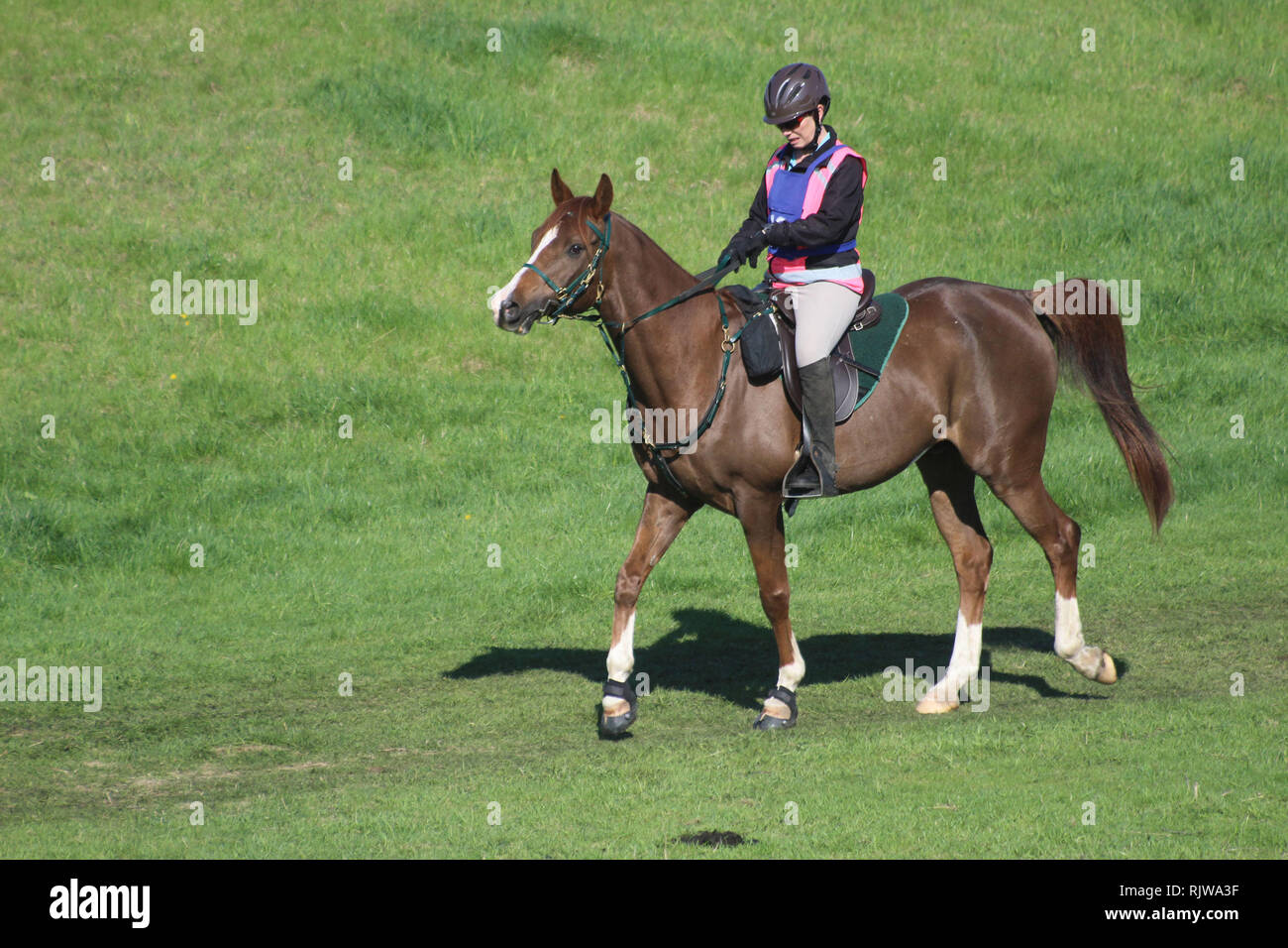 Single rider going towards start gate hires stock photography and
