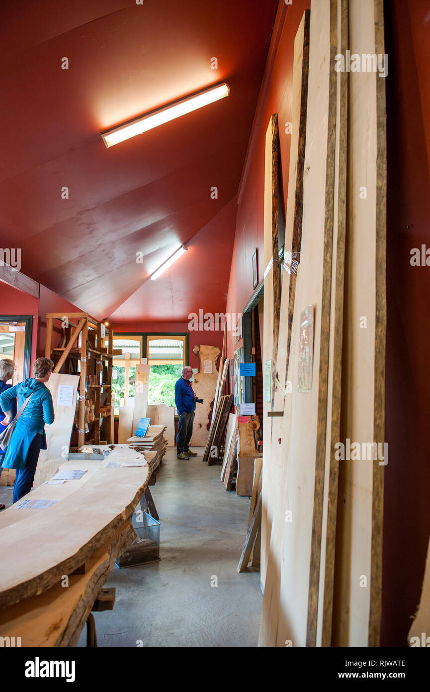 Tourists inspect slabs of Huon Pine in the Tasmanian Special Timbers Shop in Strahan, Tasmania. Huon Pine is native to south west Tasmania and highly  Stock Photo