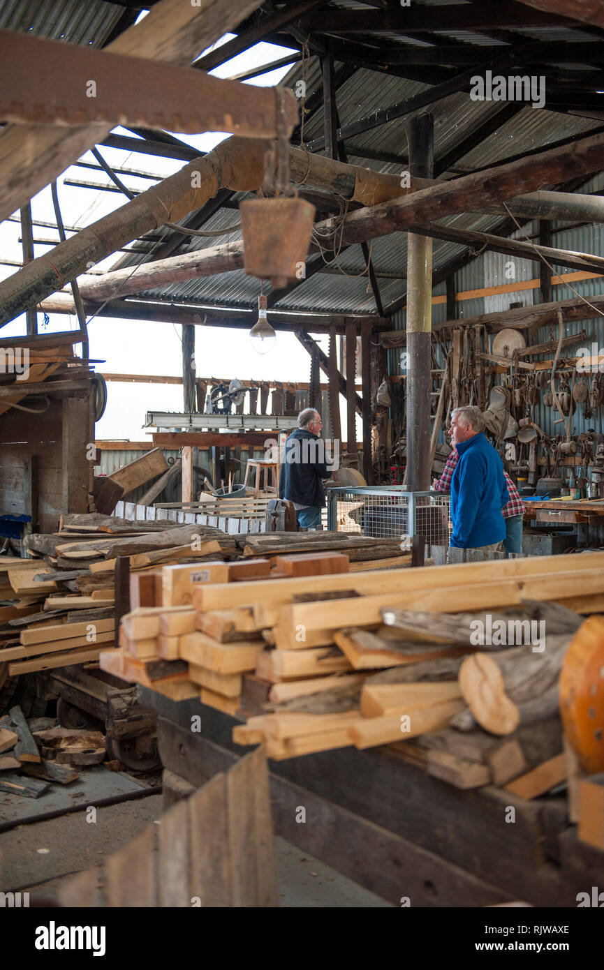 Slabs of salvaged huon pine wait to be milled at Wilderness Woodworks, a specialty timber mill in Strahan, Tasmania. The tree is native to south west  Stock Photo