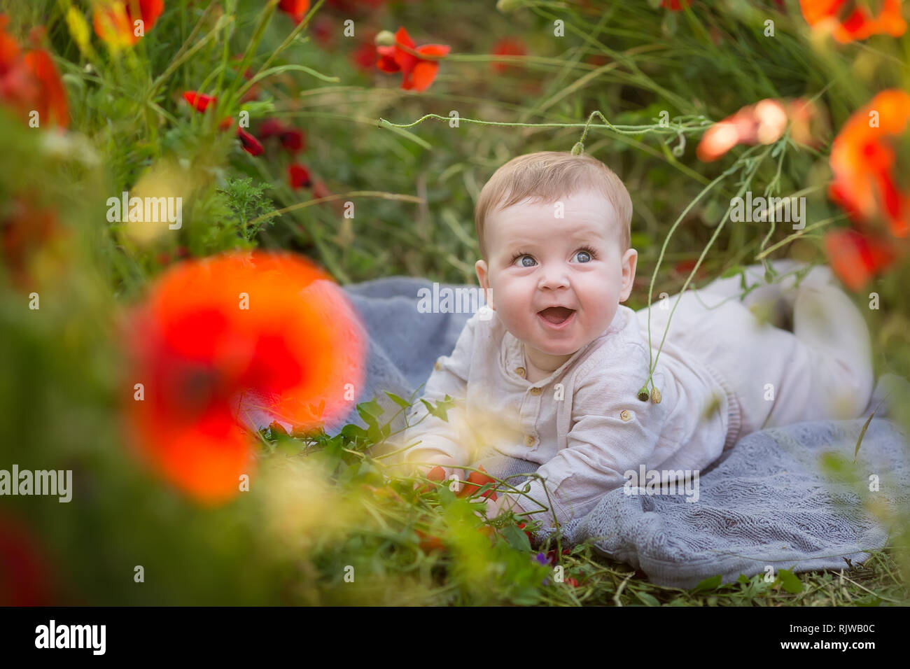 poppy dress for baby boy