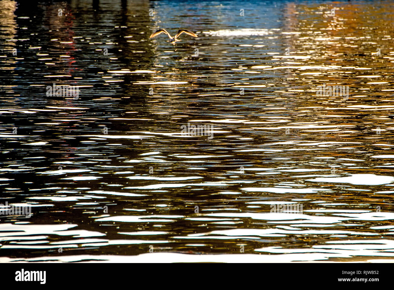 Water of the sea with sun reflections Stock Photo - Alamy