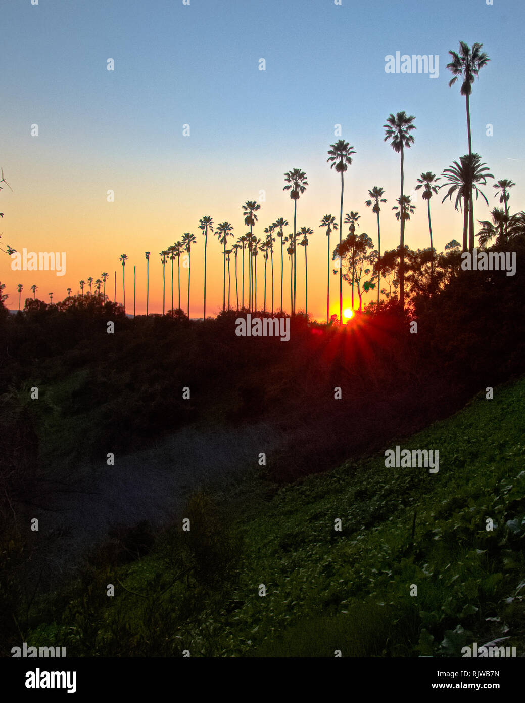 Downtown los angeles elysian park hi-res stock photography and images ...