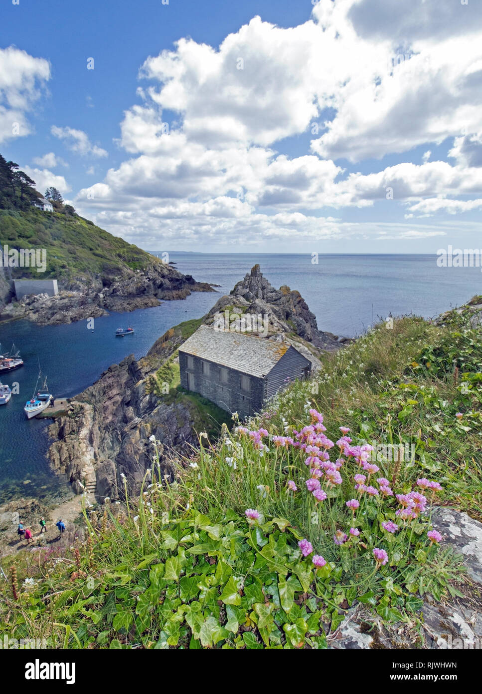 Clifftop flowers hires stock photography and images Alamy