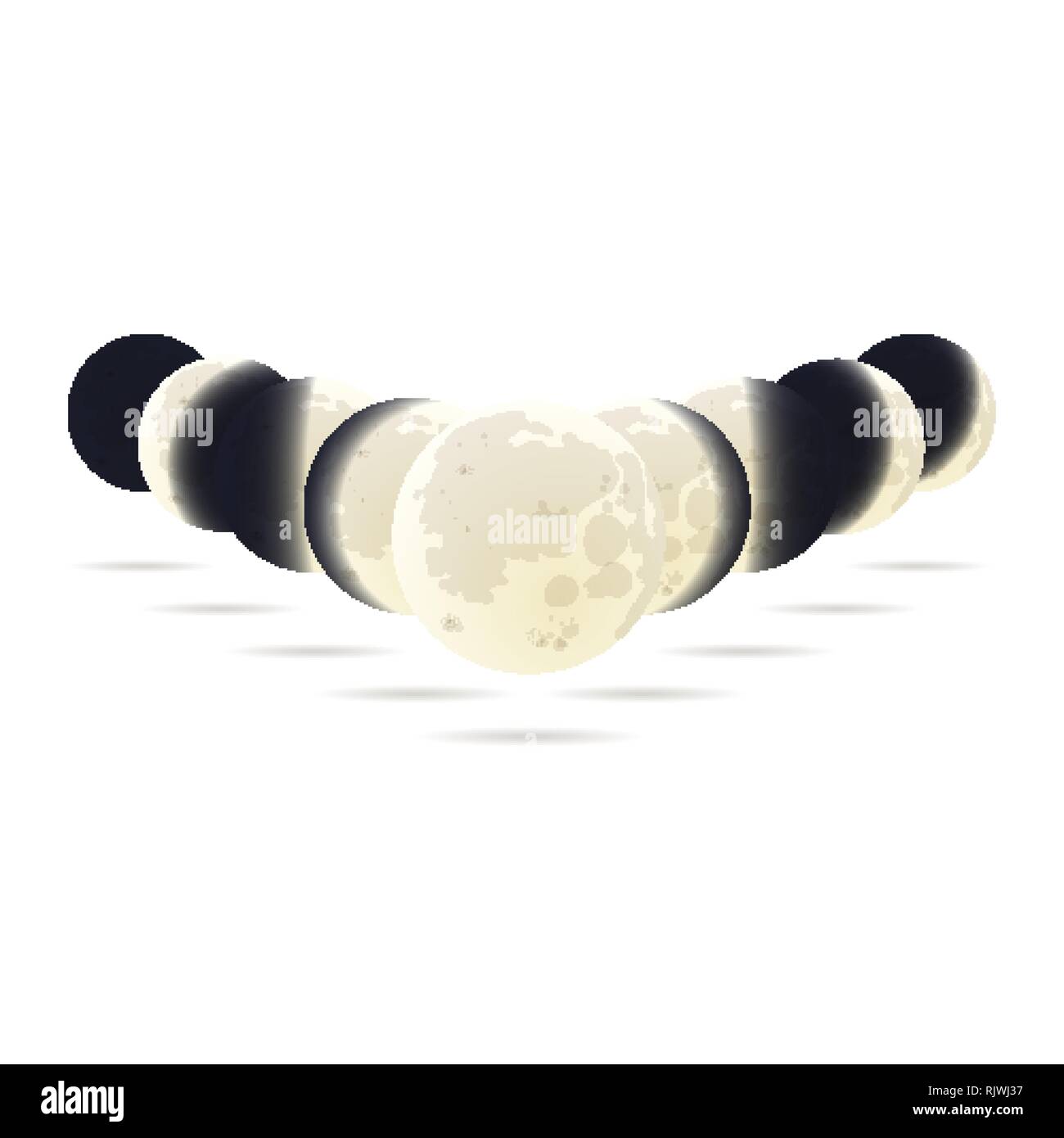 Different Phases Of Moon On Transparent Background Vector Stock