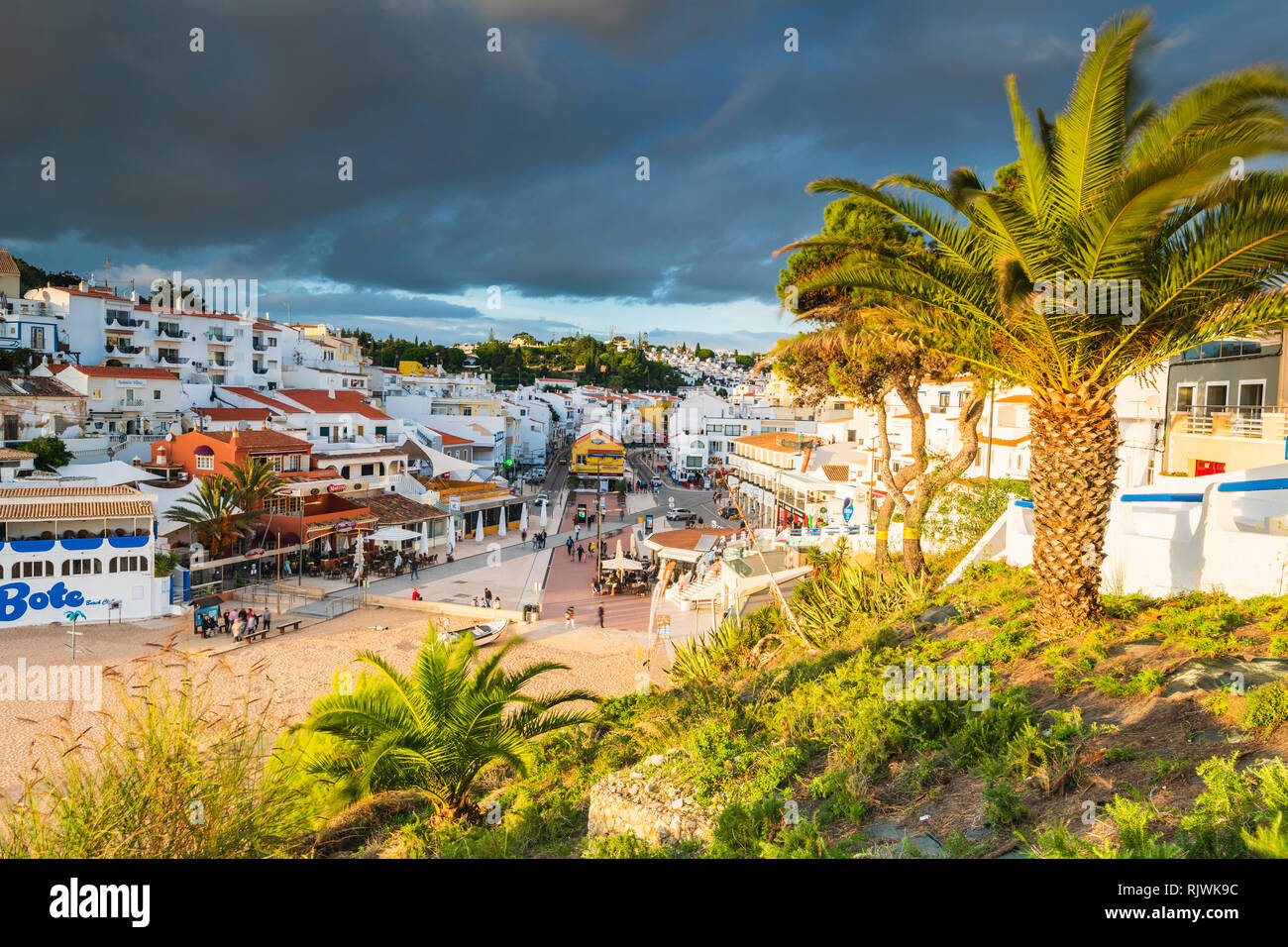 Single palm tree overlooking village of Carvoeiro, Algarve, Portugal, Europe Stock Photo