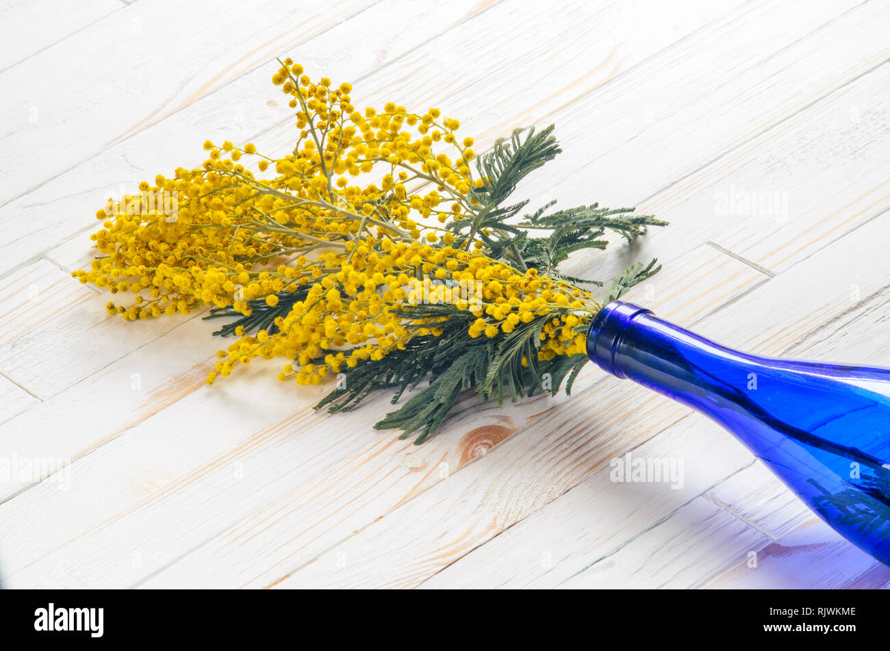 Mimosa Bouquet in a Blue Glass Bottle on White Wood Table Stock Photo