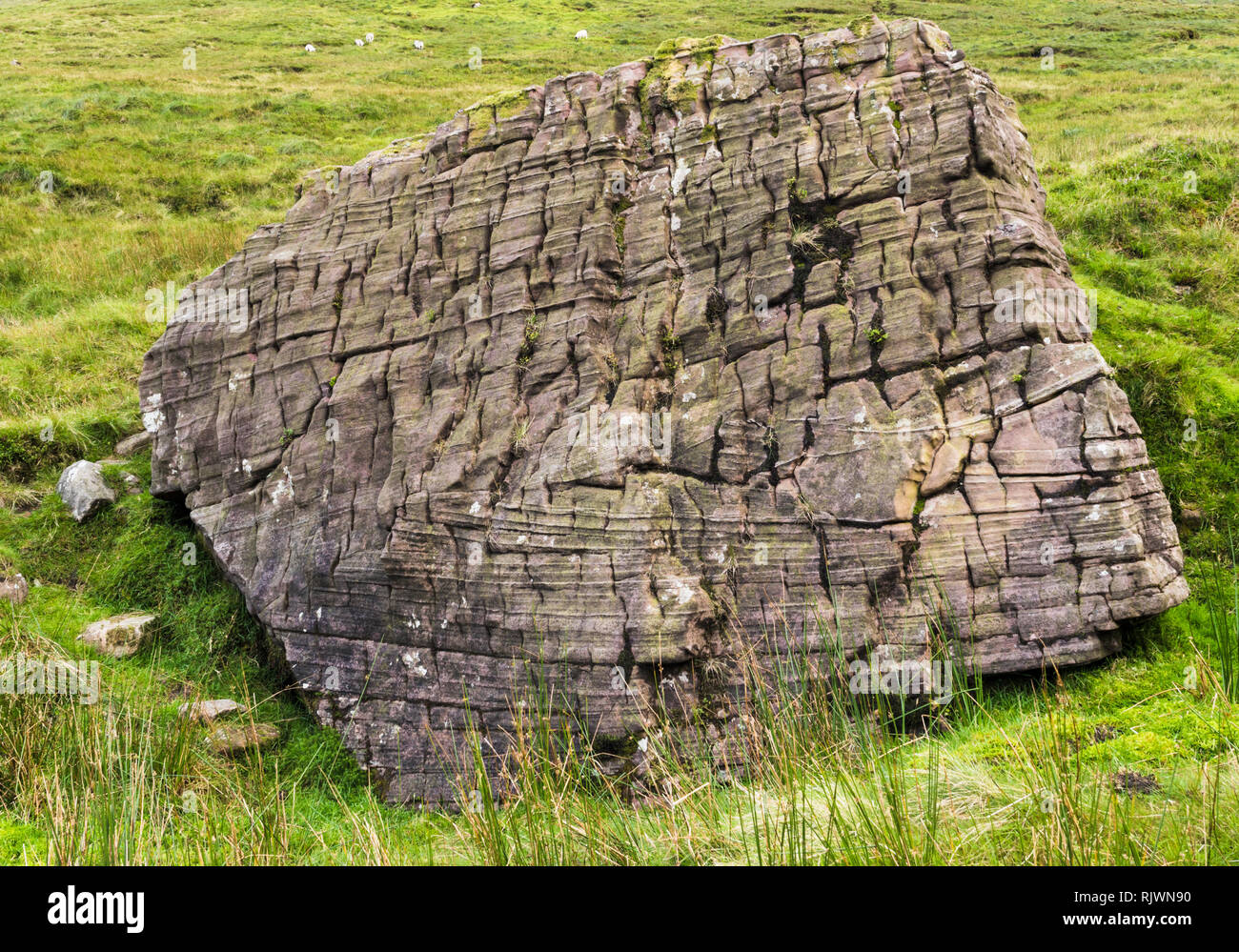 Large boulder of cross bedded red sandstone of Devonian age (Old Red Sandstone) in the Galty Mountains (Galtee Mountains), County Tipperary, Ireland Stock Photo