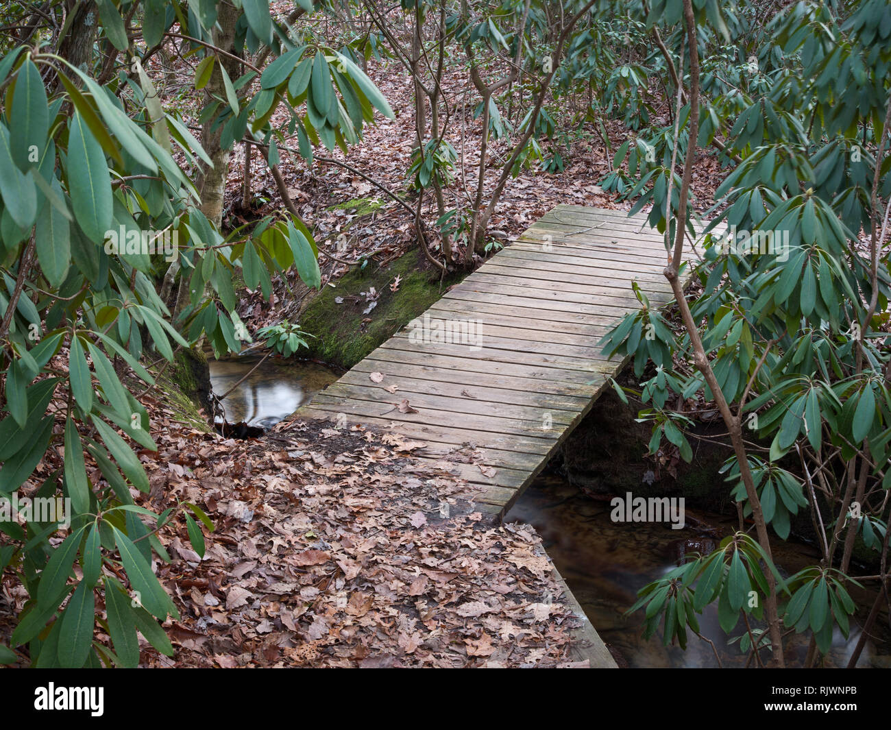 Small wooden bridge on hiking trail to Tory's falls and Den at Hanging Rock State Park, North Carolina Stock Photo
