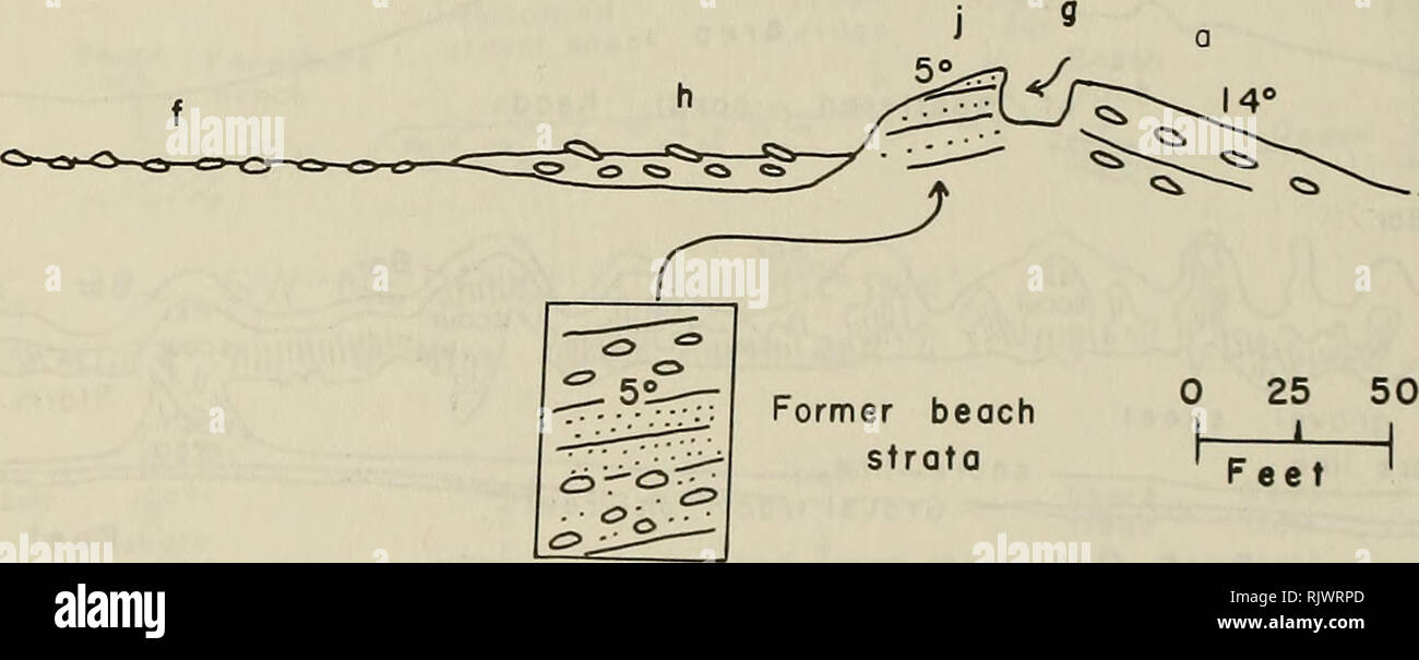 Atoll Research Bulletin Coral Reefs And Islands Marine Biology Marine Sciences C Sw Ne Profile Jaluit Atoll Research Bulletin Coral Reefs And Islands Marine Biology Marine Sciences C Sw Ne Profile Jaluit