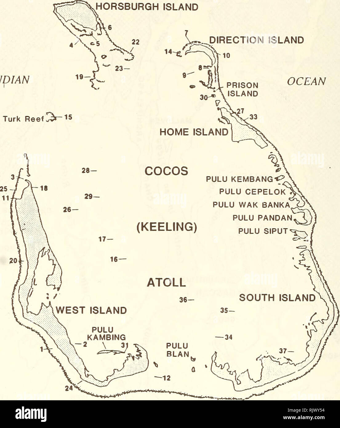. Atoll research bulletin. Coral reefs and islands; Marine biology; Marine sciences. ,HORSBURGH ISLAND 6 -12Â°05' L- c INDIAN OCEAN -^â MO'. kilometres 96Â°50' 96&quot;S5- I Figure 2. The Cocos (Keeling) Islands, showing stations from which collections were made during the Western Australian Museum expedition in 1989. These stations cover a series of different marine habitats (see Chapter 8, Fig. 1), which can be summarised as: Outer Reef Slope (9 sites: stations 4, 7, 13, 15, 19, 22, 25, 32, and 33), Reef Flat (13 sites: stations 1, 3, 6, 8, 10, 11, 12, 14, 20, 21, 24, 27, and 30) and lagoon  Stock Photo