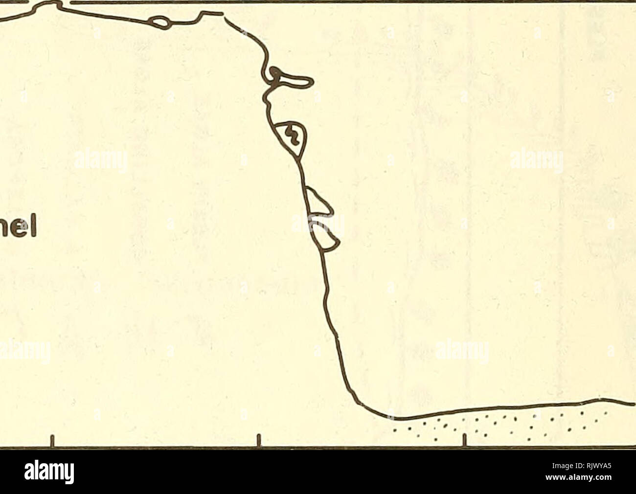 . Atoll research bulletin. Coral reefs and islands; Marine biology; Marine sciences. Sediment Fig. 6, 5- 10 Sans Souci Channel (inner system). meters 200 400 600 Profile and surface zonation across San Souci Channel reef. Section S  on figure 1. Corals: (1) Porites porites. (2) Montastrea annularis, Diploria clivosa, D . strigosa. (3) P. furcata. (4) P. astreoides, Dichocoenia stokesii, Manicina areolata, Favia fragum, M. annularis (5) Millepora spp., Acropora palmata. Corallines: Neogoniolithon westindianum. Pavement: grazed coralline encrusted. Mat: algal stabilized sediment.. Please note th Stock Photo