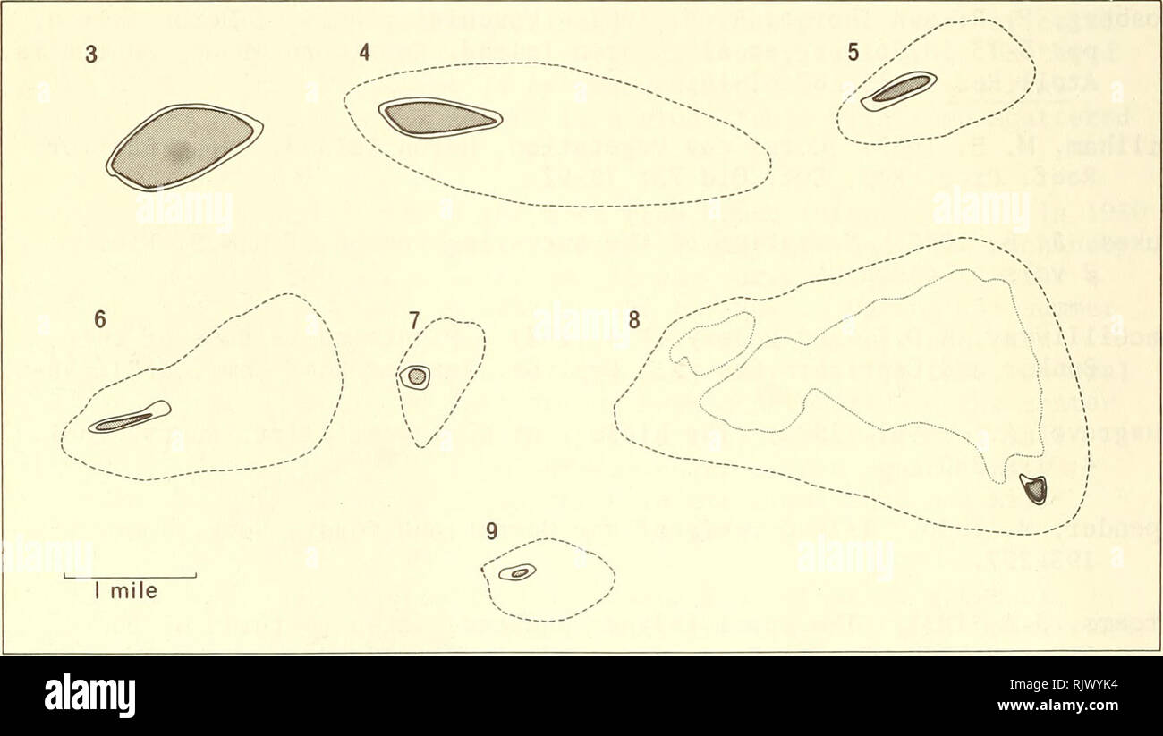 . Atoll research bulletin. Coral reefs and islands; Marine biology; Marine sciences. Fig. 2. Typical sand cay showing vegetation zonation a. Beach margin; b. Casuarina grove often found on ends of island; c. outer zone of Tournefortia, Scaevola and Casuarina; d. inner zone of Pisonia.. Figs. 3-9: 3. Northwest Island. 4. Masthead Island. 5. Tryon Island. 6. Wreck Island. 7. Wilson Island. 8. One Tree Island. 9. Erskine Island,. Please note that these images are extracted from scanned page images that may have been digitally enhanced for readability - coloration and appearance of these illustrat Stock Photo
