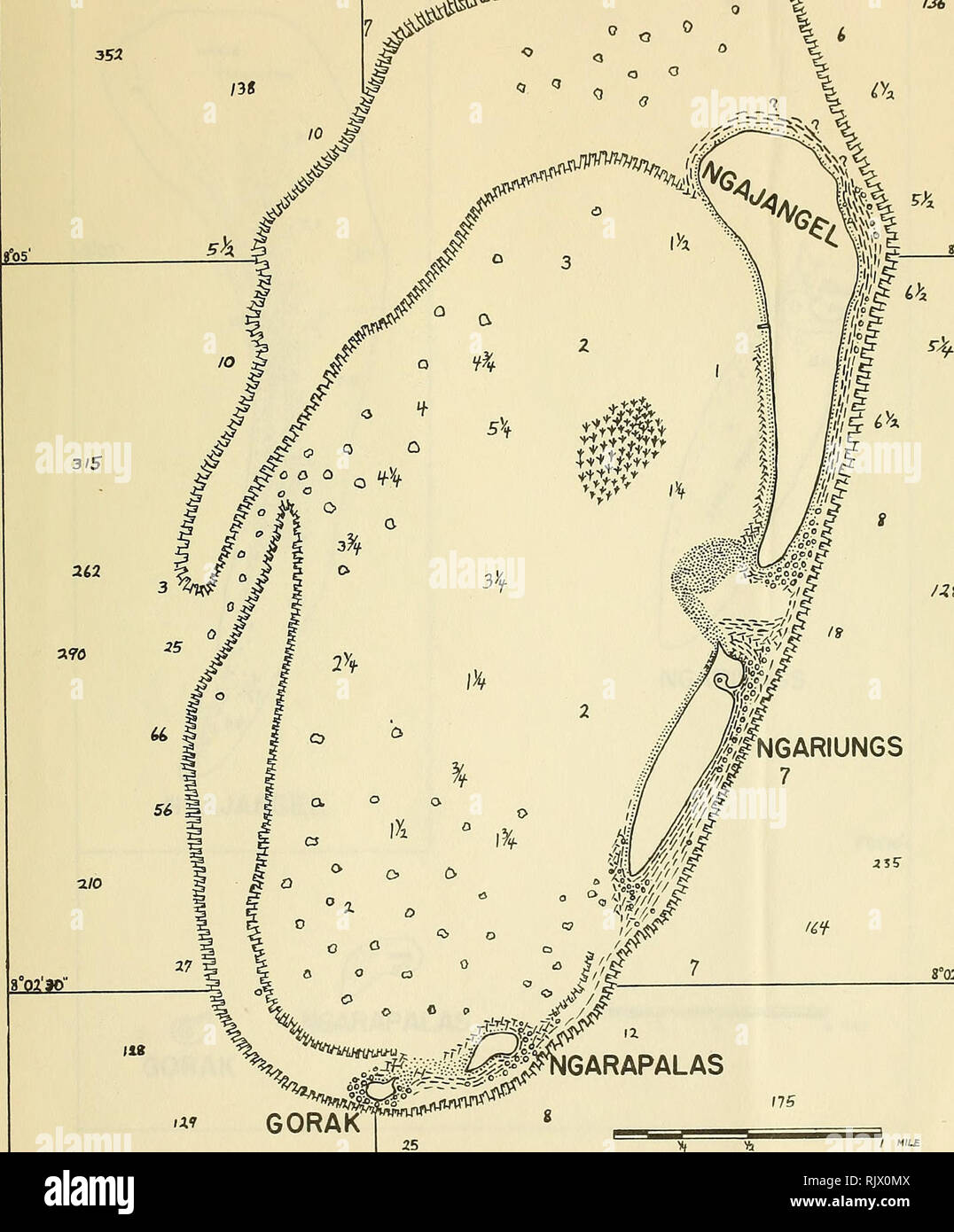 . Atoll research bulletin. Coral reefs and islands; Marine biology; Marine sciences. KAYANGEL ATOLL f2' -la^- ^ ^^^^^^^^^^^^ V^ fJ4. /^y N6ARIUNGS 8°02'3O&quot; a? GORAK ill MAP NO.. Please note that these images are extracted from scanned page images that may have been digitally enhanced for readability - coloration and appearance of these illustrations may not perfectly resemble the original work.. Smithsonian Institution. Press; National Research Council (U. S. ). Pacific Science Board; Smithsonian Institution; National Museum of Natural History (U. S. ); United States. Bureau of Sport Fish Stock Photo