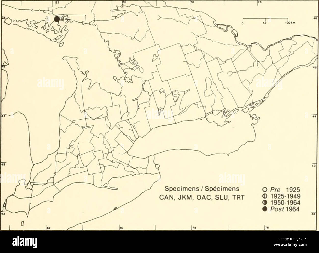 . Atlas of the rare vascular plants of Ontario. Rare plants; Botany. Atlas of the Rare Vascular Plants of Ontario / Atlas des plantes vasculaires rares de l'Ontario OROBANCHACEAE Orobanche fasciculata Nutt. Broomrape Orobanche. % 3'^^^y- ^ D. ^r-r^ v^ V^ C^ /-iSO  &gt; â S ^^^Ã»Sn^ ^-^-.^ =^^^^ )/l. lr%f-^rW V r^ ^ N %r Ãi^V^^p^ rx / ji'. ,â&quot;^^ / ') ^â7^ ^ M' i â v ;^â^Iji^-. T &quot;i  -''-^11  T V&gt;4Sy; //3'&quot;^N ^ &quot;) ^t&gt; i r -^)V^^^^^^3^^ 3^/ ' (J / -tlT-T^-. ^^^; ^^/I|Xi ^ rVp ^ //LrT &quot; &quot;'^^Ft^iX^--V^Vjt &quot;-- V.,i5Â§ ' -.r In ' .' 'â X--ls&gt Stock Photo