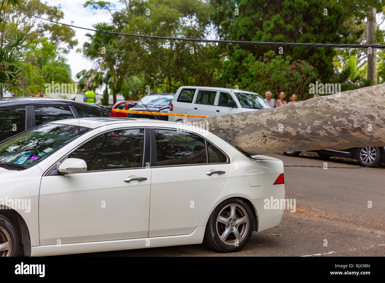 Crushed car by tree hires stock photography and images Alamy