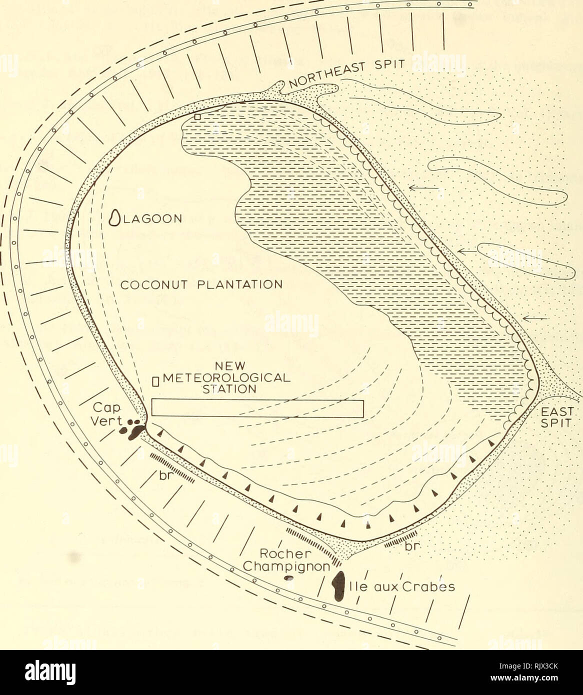 Atoll Research Bulletin Coral Reefs And Islands Marine Biology Marine Sciences Old Beach Ridges Z A I Fixed Dunes Active Dunes K K K Storm Wave Deposits On Inter Beach Ridge Sand