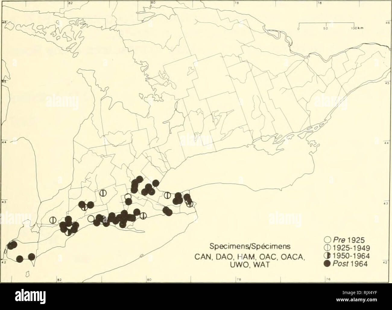 . Atlas of the rare vascular plants of Ontario. Rare plants; Botany. Atlas of the Rare Vascular Plants of Ontario/Atlas des plantes vasculaires rares de l'Ontario FAGACEAE Castanea dentata (Marsh.) Borkh. (C. americana Rai.) Chestnut, American chestnut Châtaignier d'Amérique. Specimens/Specimens CAN. DAG, HAM. OAC. CACA. UWO. WAT O Pre 1925 01925-1949 31950-1964 • Posf1964. Please note that these images are extracted from scanned page images that may have been digitally enhanced for readability - coloration and appearance of these illustrations may not perfectly resemble the original work.. Ar Stock Photo