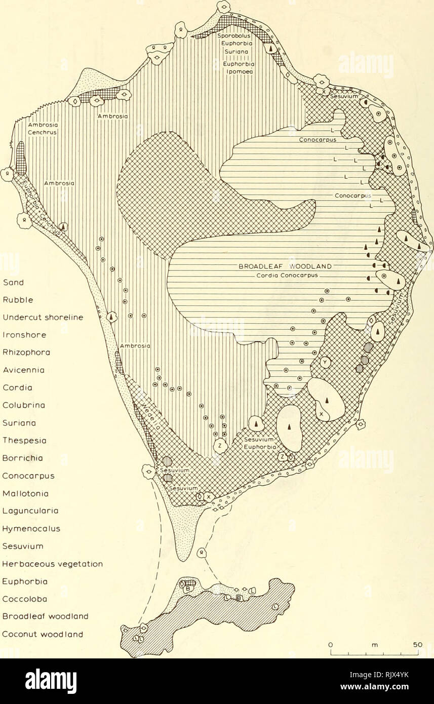 thespesia high resolution stock photography and images alamy