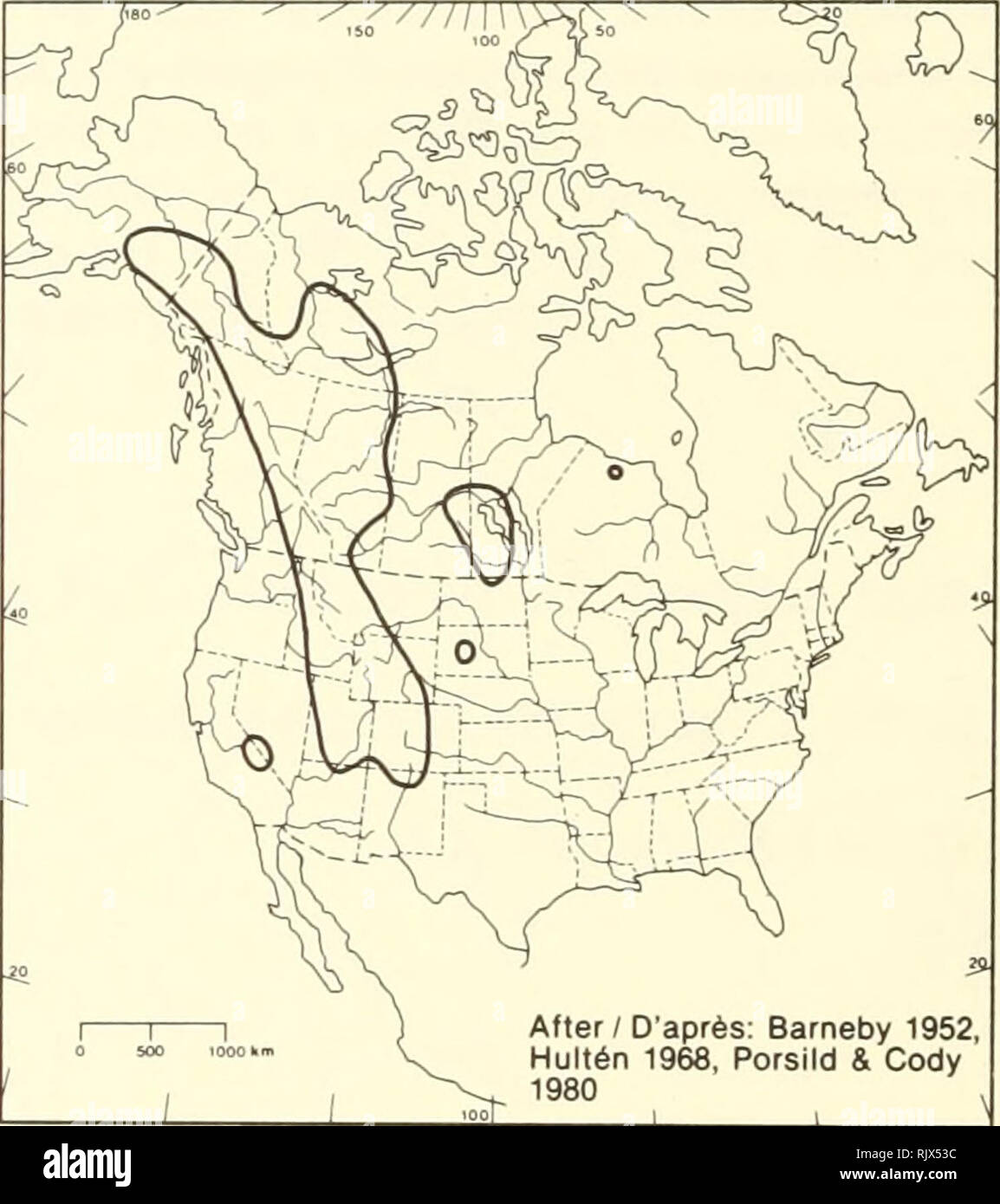 . Atlas of the rare vascular plants of Ontario. Rare plants; Botany. After / D'après: Barneby 1952, Hultén 1968, Porsild &amp; Cody 1980 HABITAT: Littoral areas. STATUS: Rare in the continental Northwest Territories. NOTES: Plants tound at the junction of the Fawn and Otter rivers are morphologically transitional between var. sericea and var. foliolosa and they have been mapped as var. foliolosa. HABITAT: Régions littorales. SITUATION: Rare dans la partie continentale des Terri- toires du Nord-Ouest. REMARQUES: Les plantes présentes au confluent des rivières Fawn et Otter ont une morphologie i Stock Photo