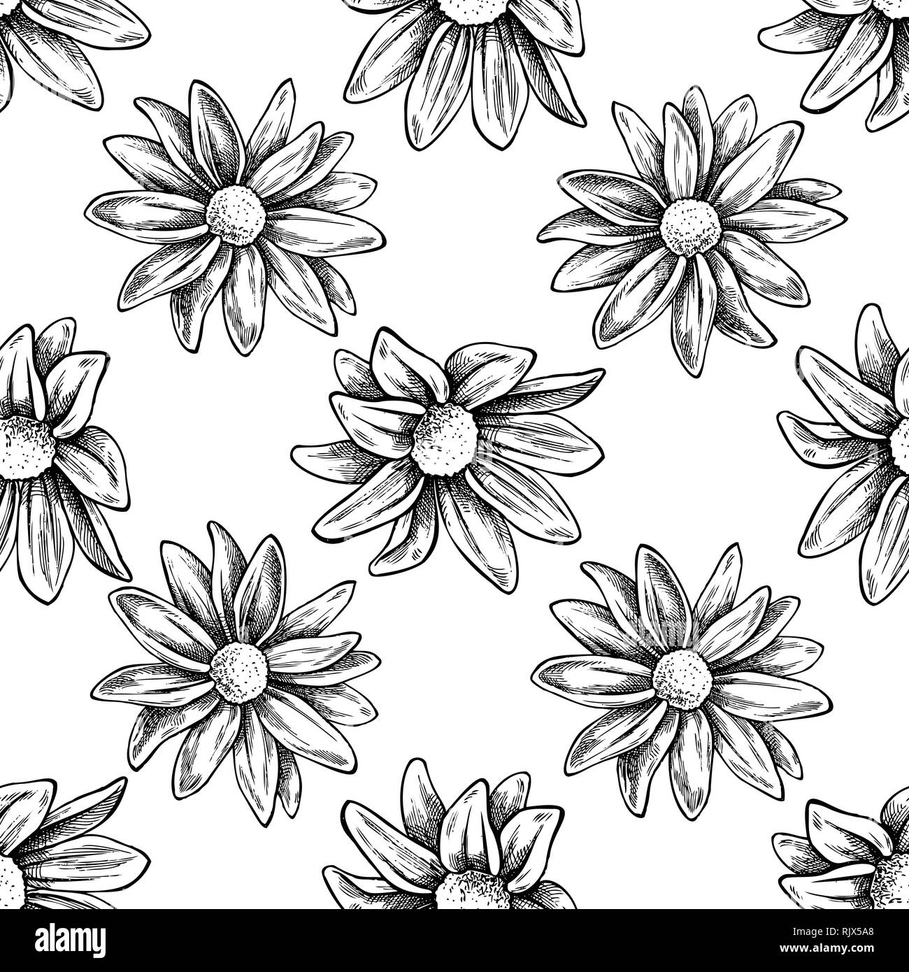 Seamless pattern with black and white chrysanths, primula Stock Vector