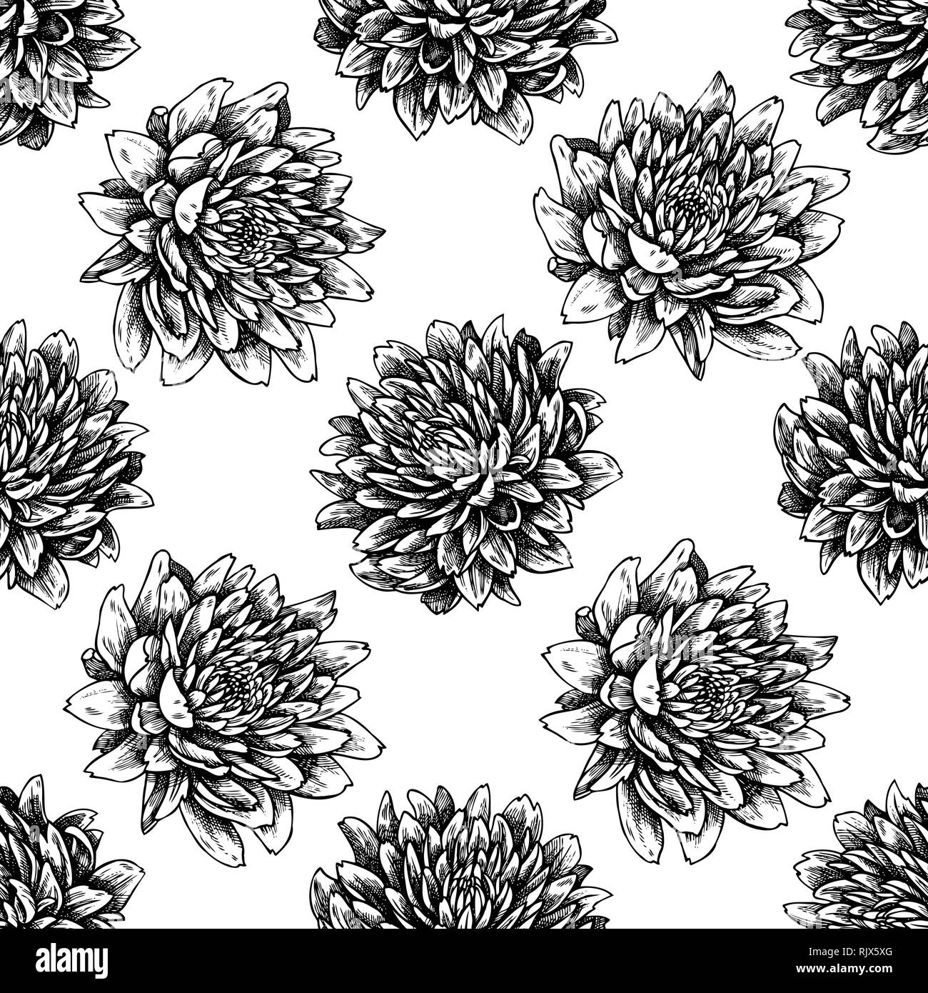 Seamless pattern with black and white aster Stock Vector