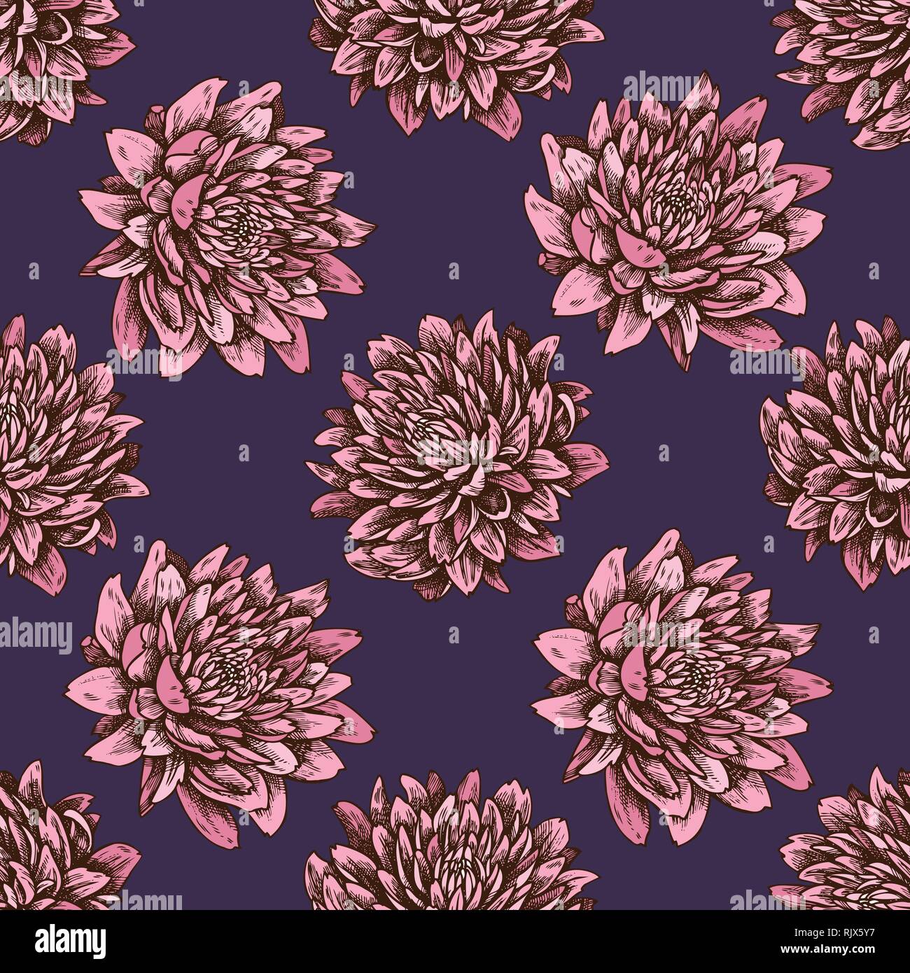 Seamless pattern with hand drawn colored aster Stock Vector