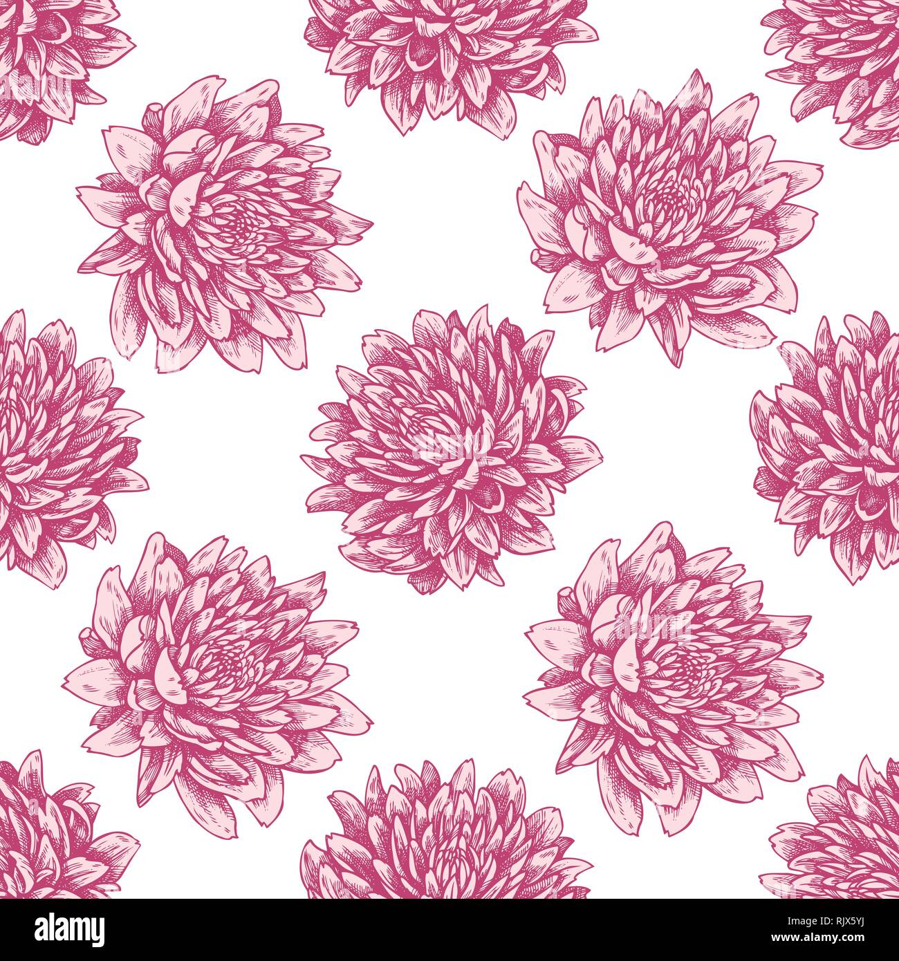 Seamless pattern with hand drawn pastel aster Stock Vector