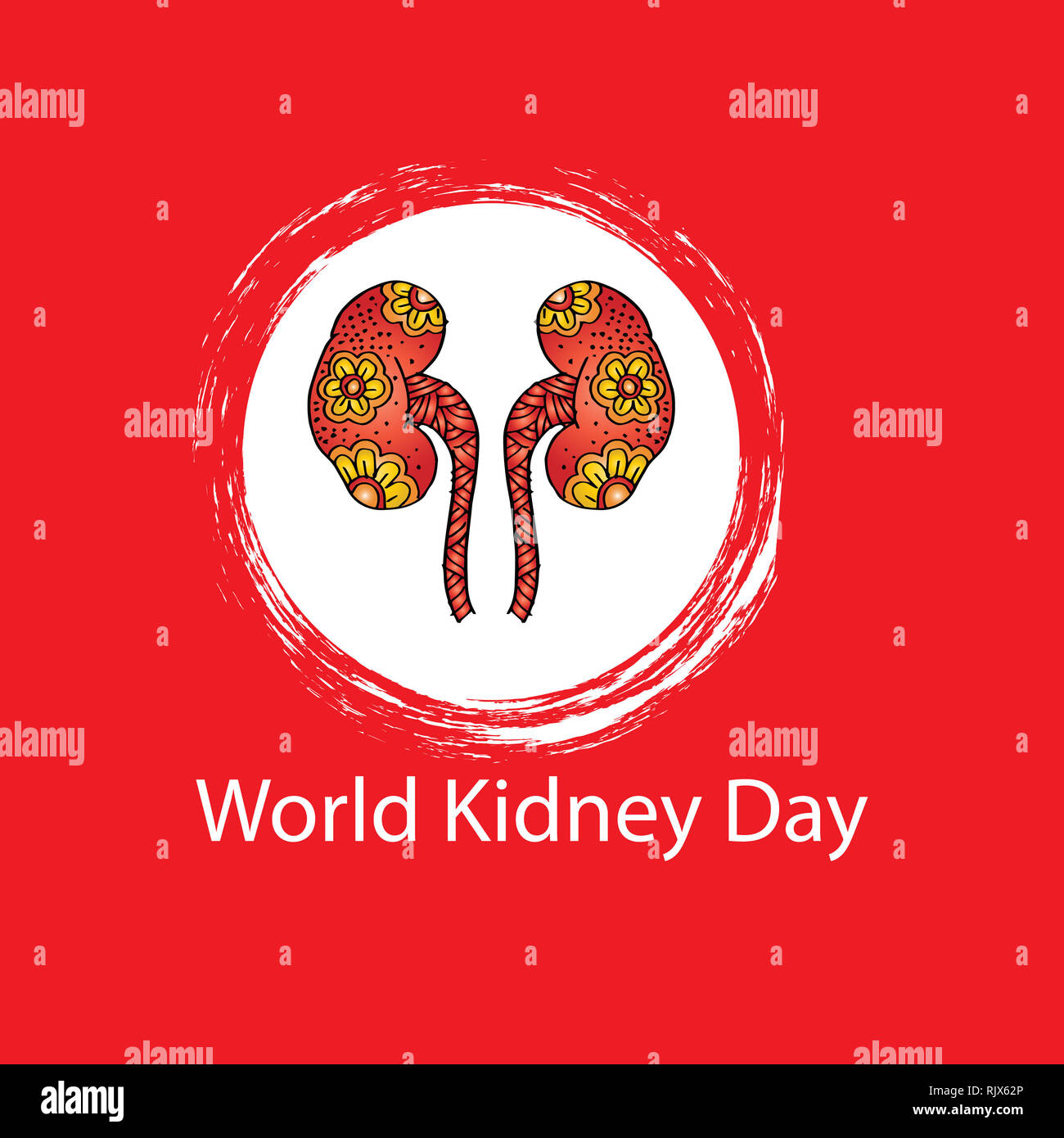 Kidney artery organ anatomy biology hires stock photography and images